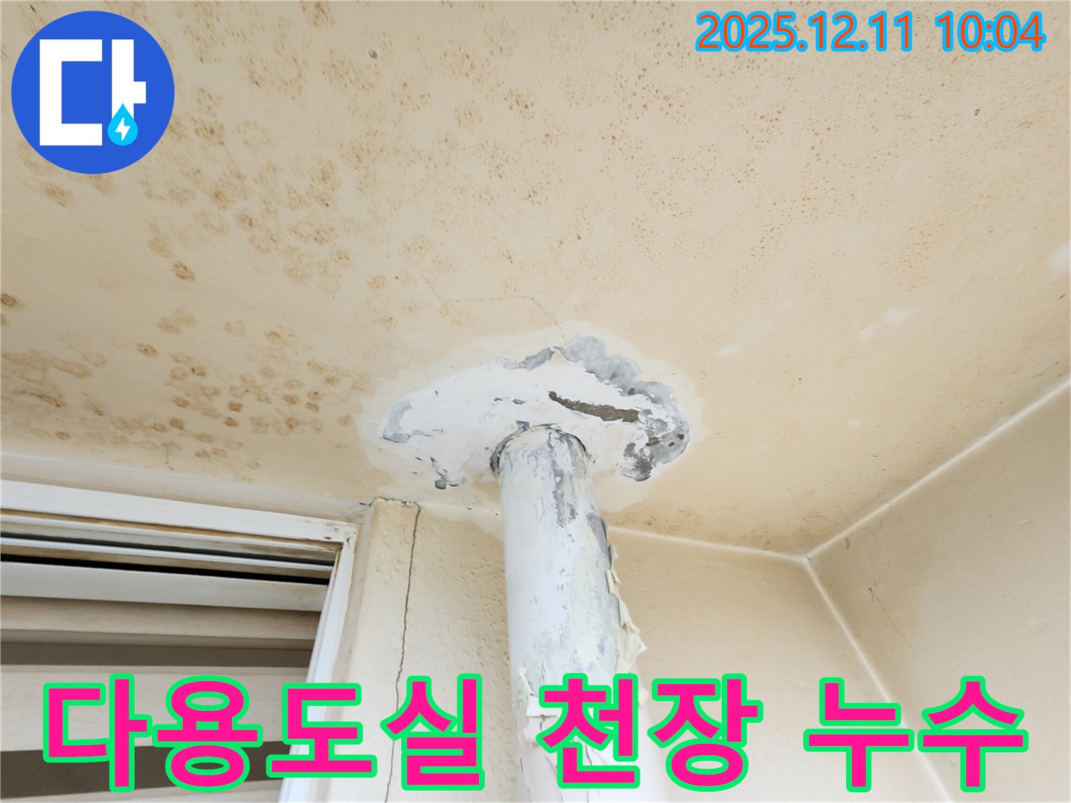 다용도실 천장 누수 - 세탁기 문제?