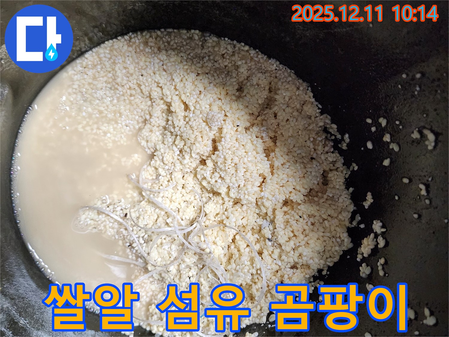 배관 속 쌀알 - 섬유 - 곰팡이 - 누수 유발