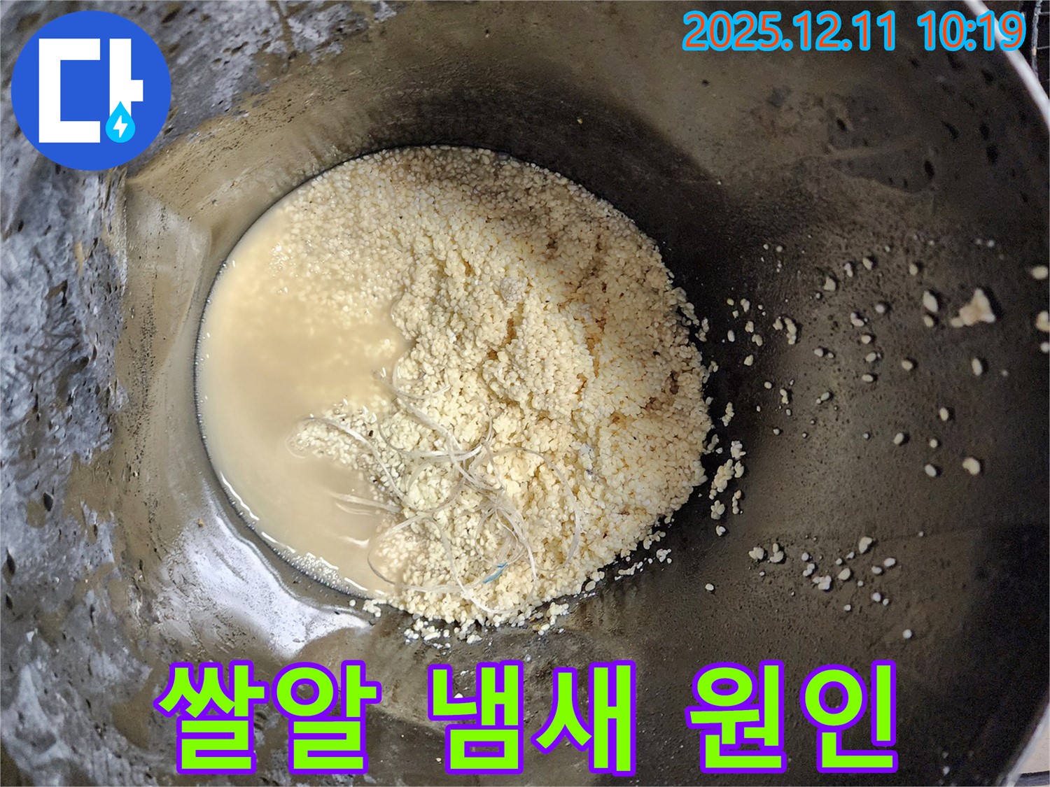 배관 속 쌀알 이물질 - 찝찝한 물 냄새 유발