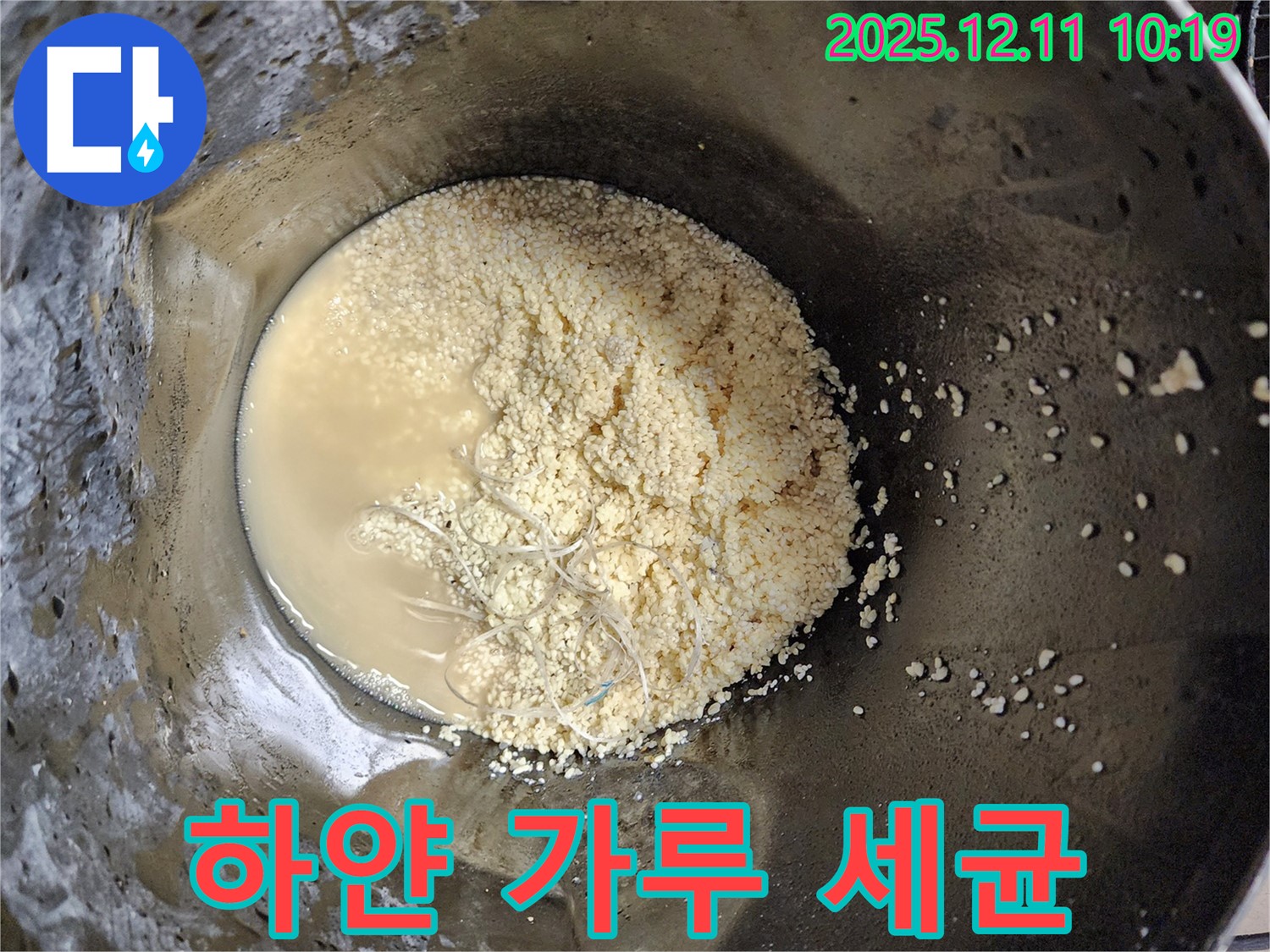 배관 속 하얀 가루 뭉침 - 세균 번식 가능성