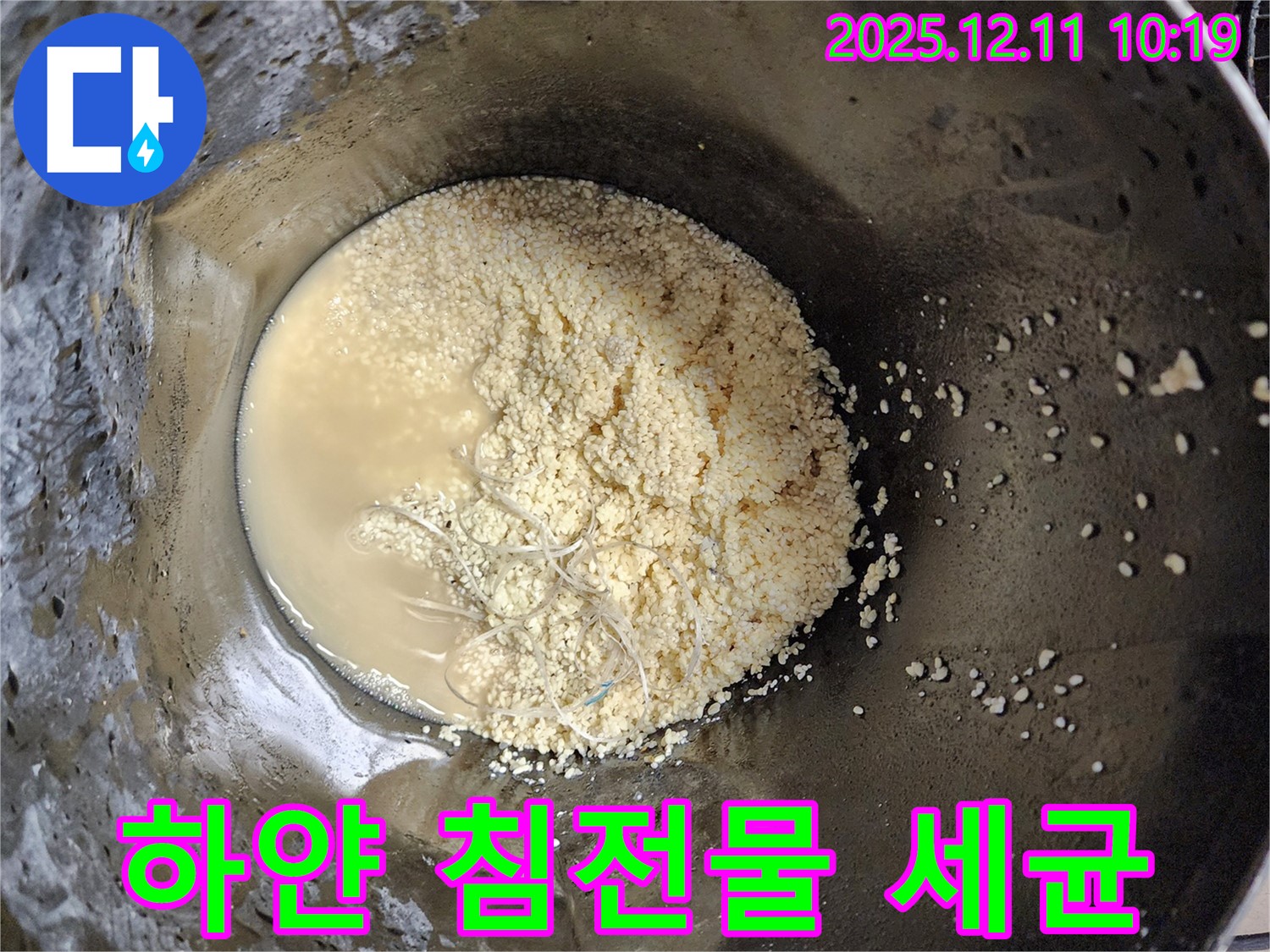 배관 속 하얀 침전물 - 세균 번식 가능성