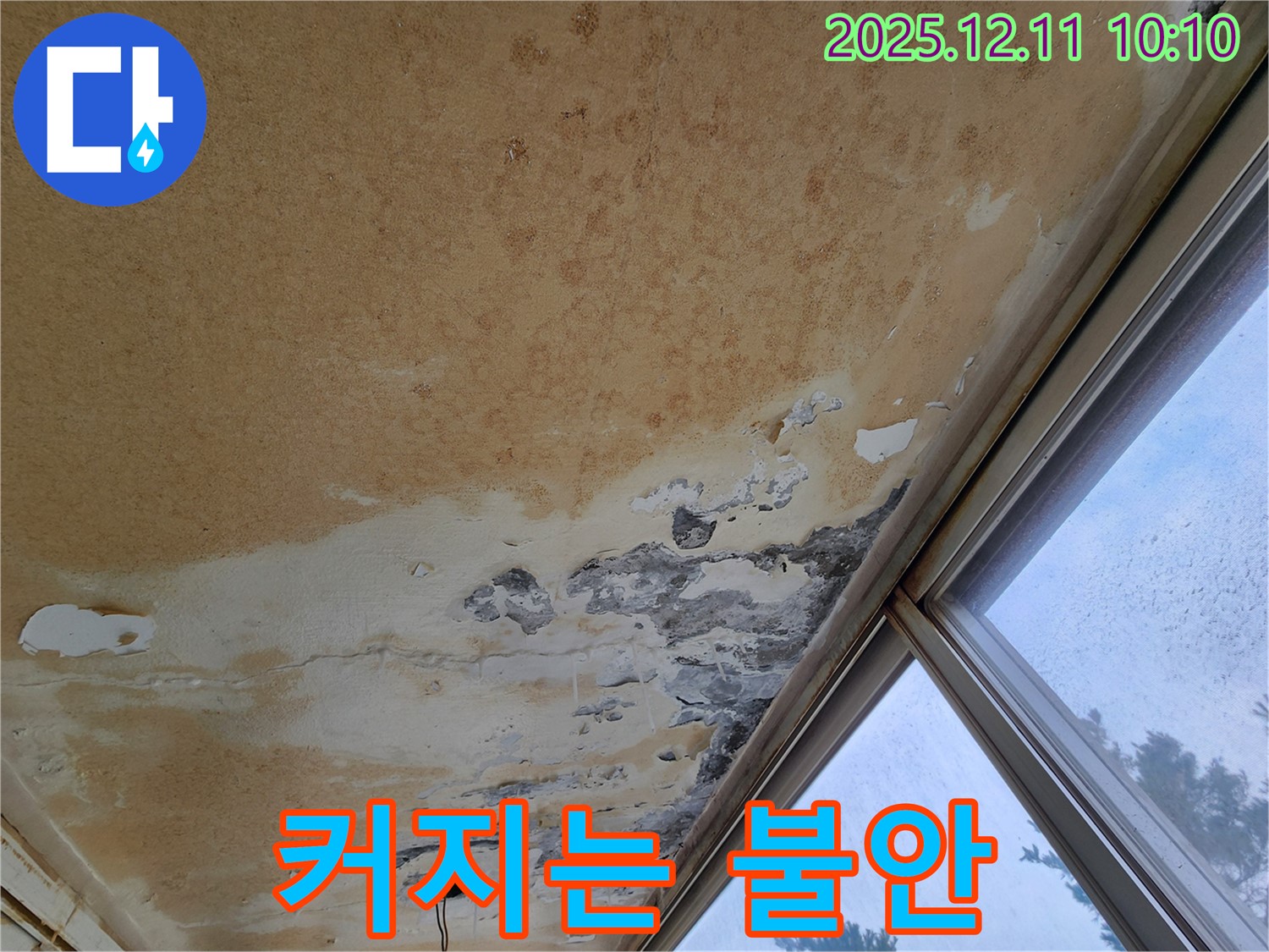 빗물과 곰팡이 - 커지는 불안
