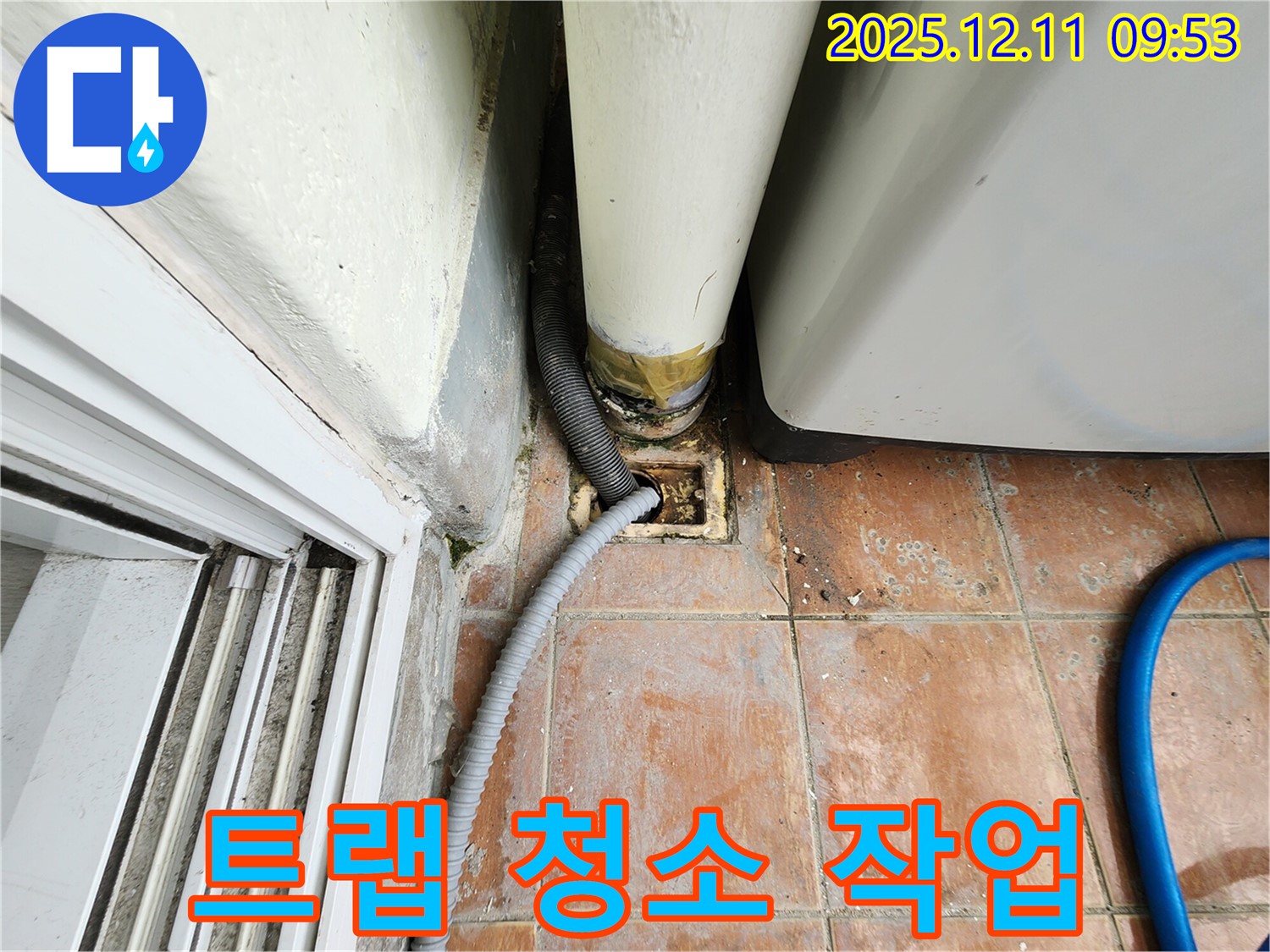 세탁기 배수구 주변 배수 트랩 오염 - 청소 후 악취 제거 및 배수 개선