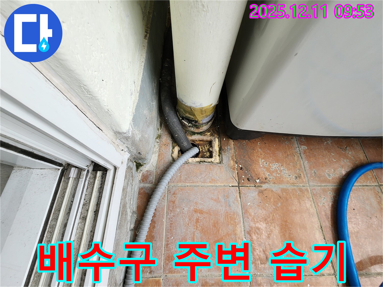 세탁기 배수구 주변 습기 - 누수 의심 및 곰팡이 발생 가능성