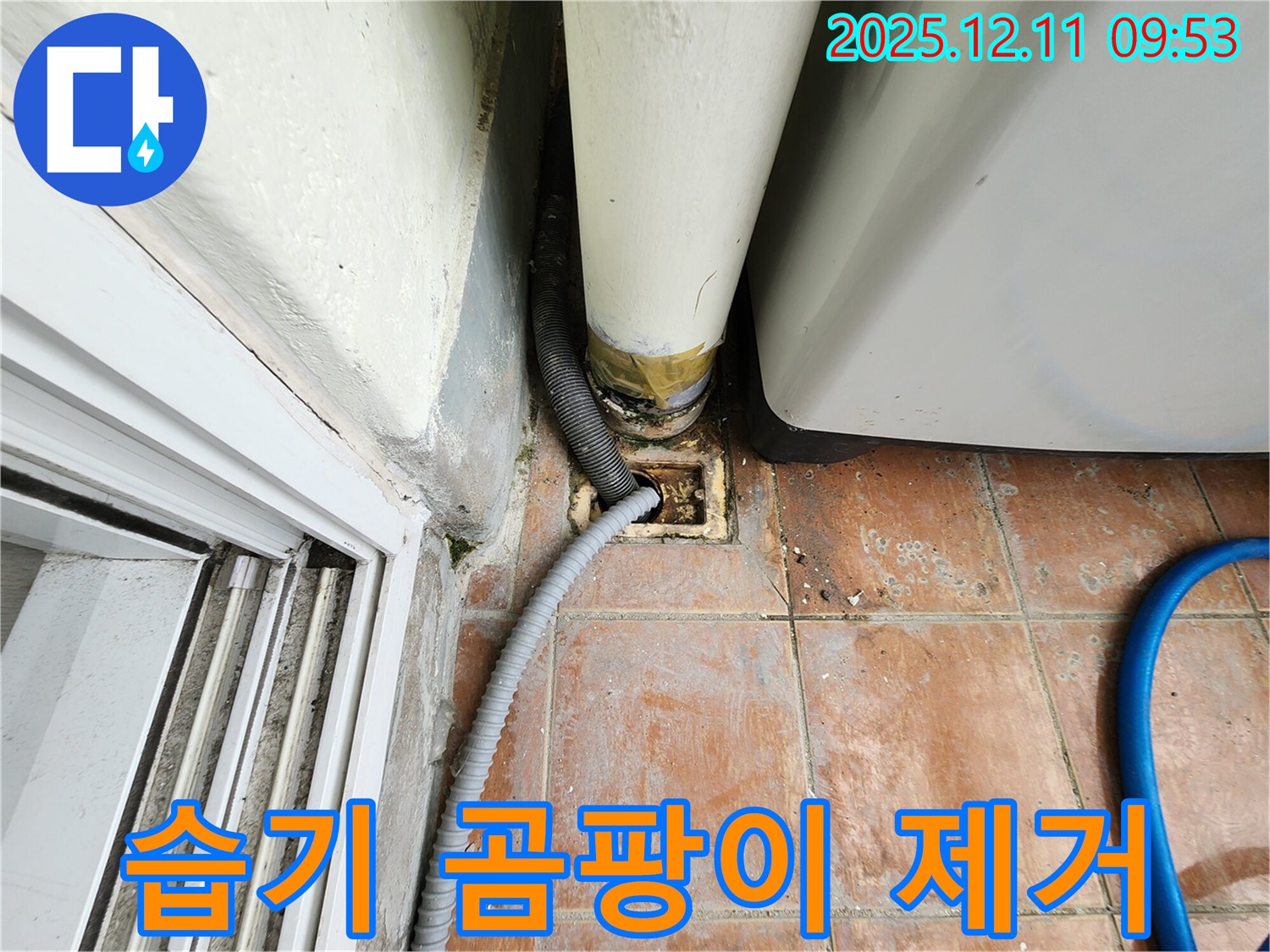 세탁기 하수구 연결 부위 습기, 곰팡이 제거 및 환기 중요성 강조