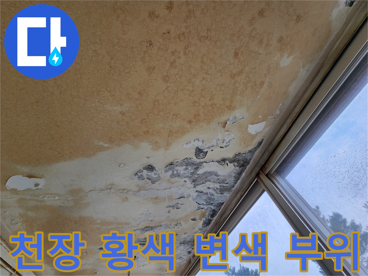 심하게 오염된 베란다 천장 마감재 사진