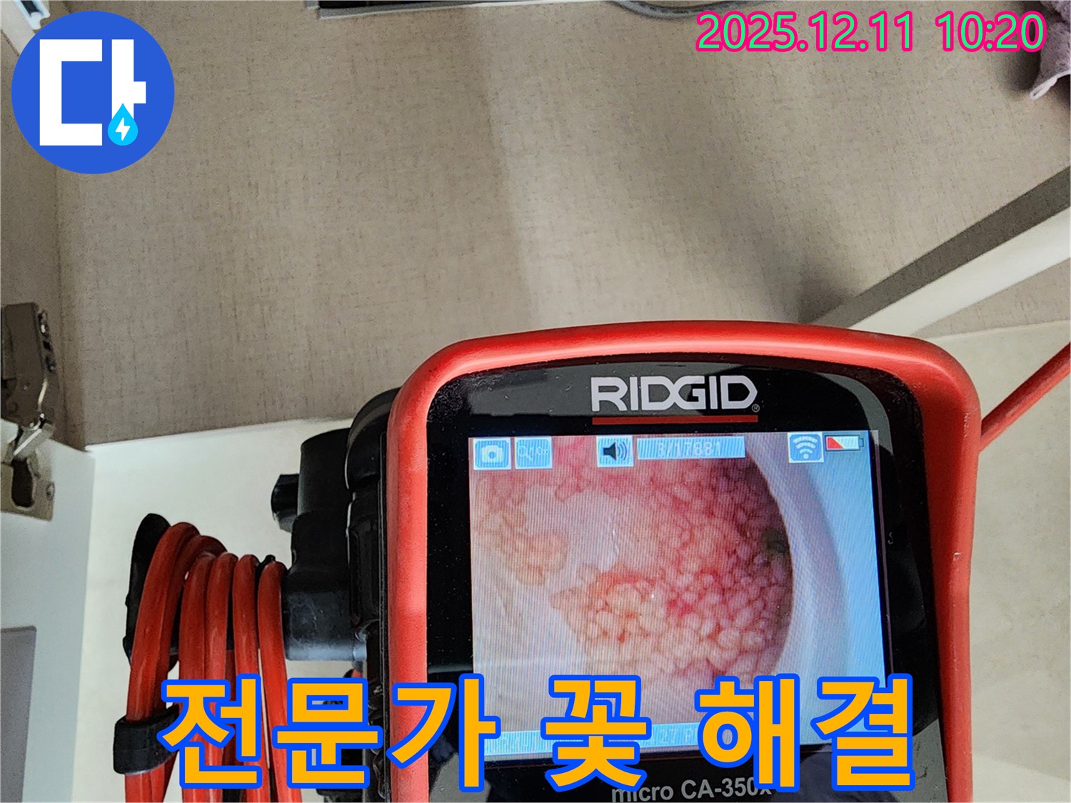 전문가 꽃 해결 - 비교불가 기술력