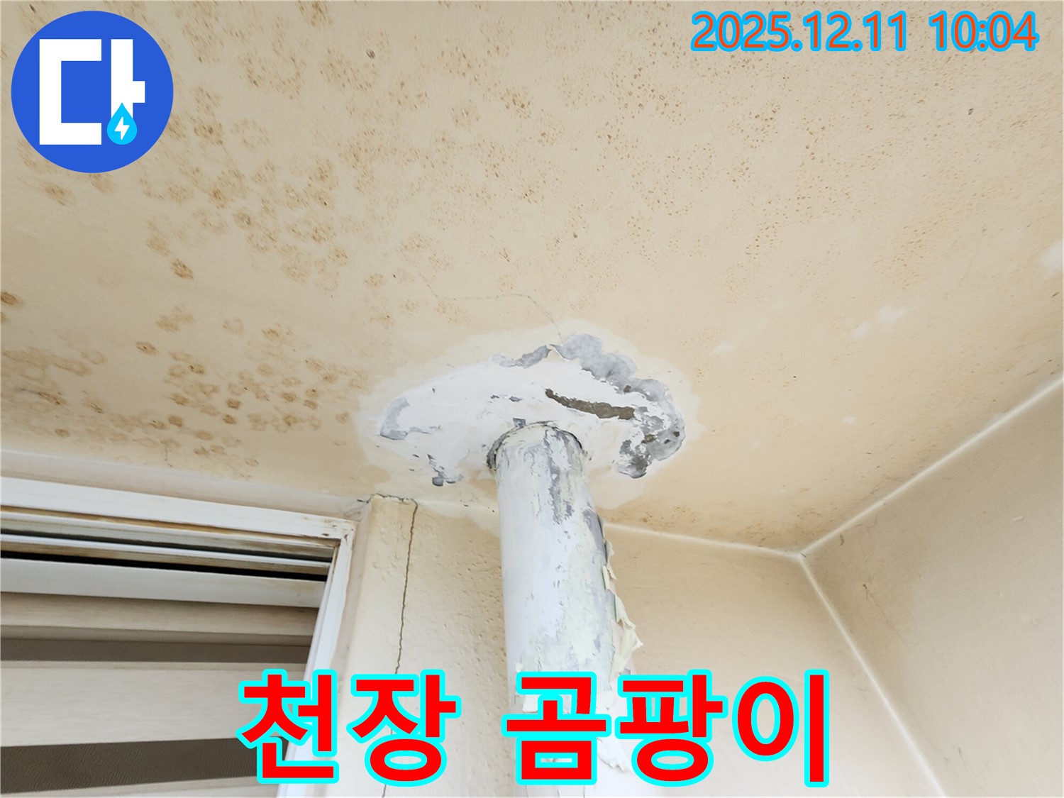 천장 곰팡이 - 누수 초기 증상일 수 있으며, 건강에 해로울 수 있습니다.