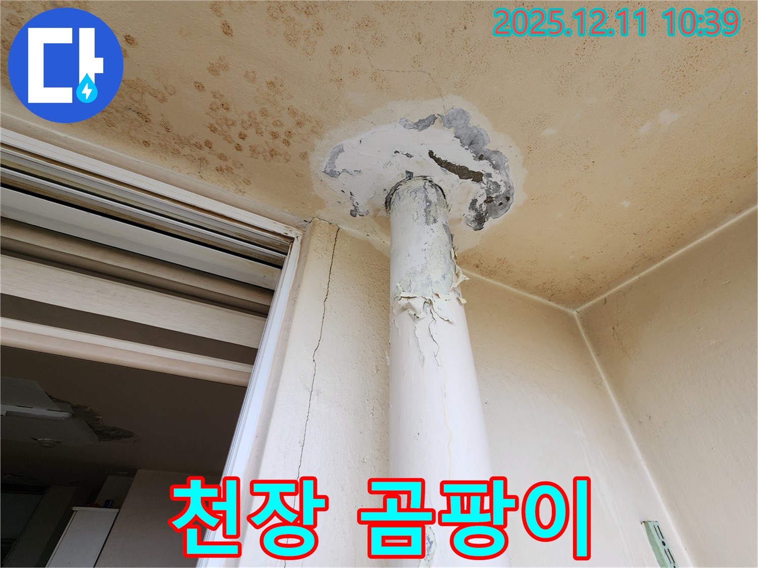 천장 곰팡이 - 누수 흔적 - 습기