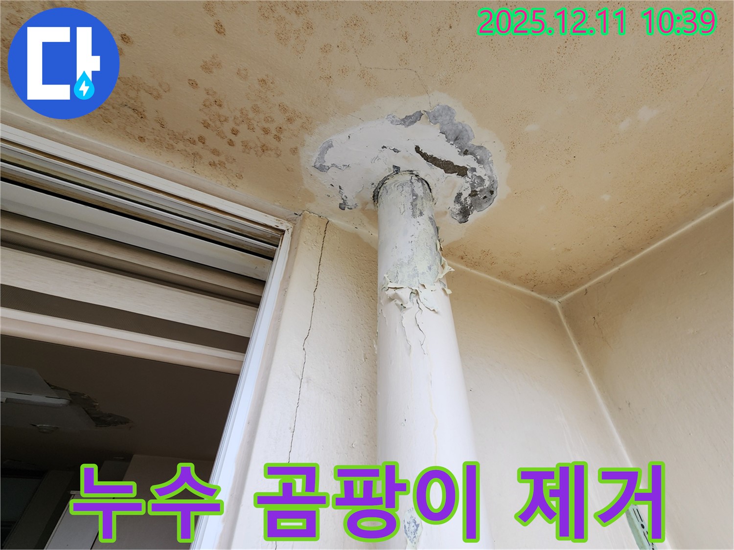 천장 누수 - 곰팡이 발생 - 곰팡이 제거 시공