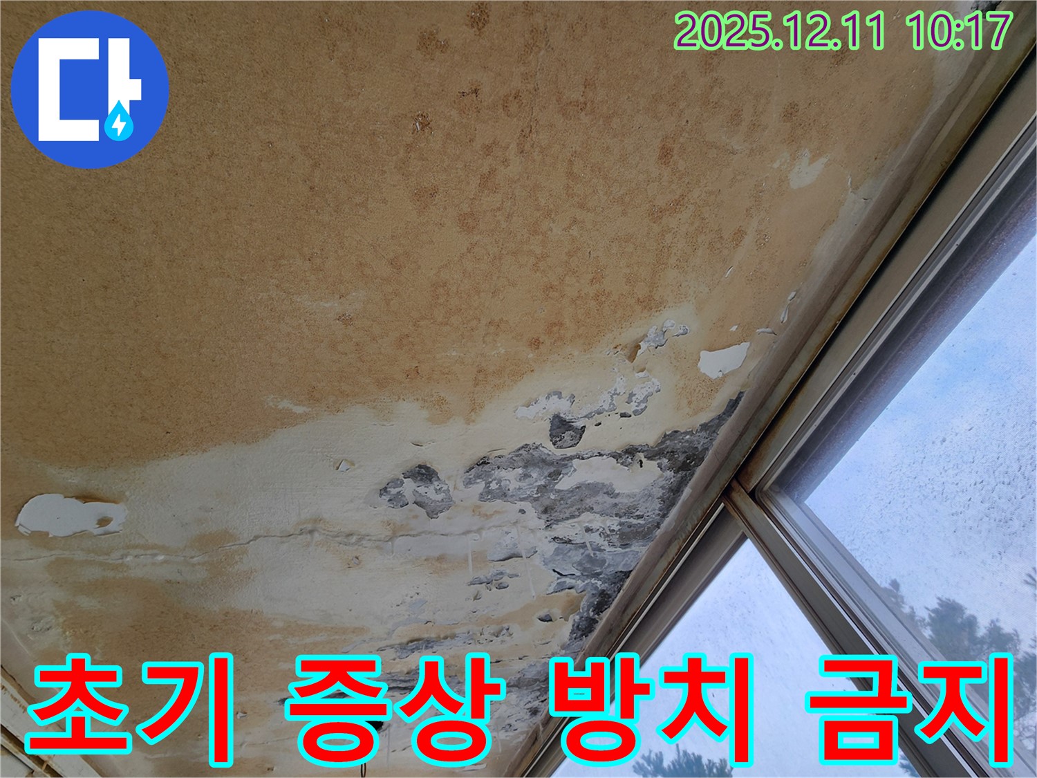 천장 누수 - 초기 증상, 전문가 상담