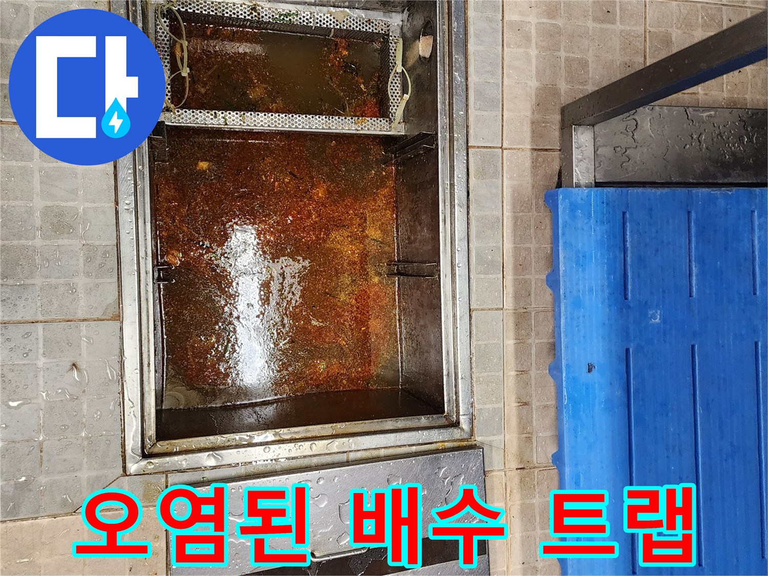 기름 찌꺼기가 쌓인-그리스 트랩 내부 관찰