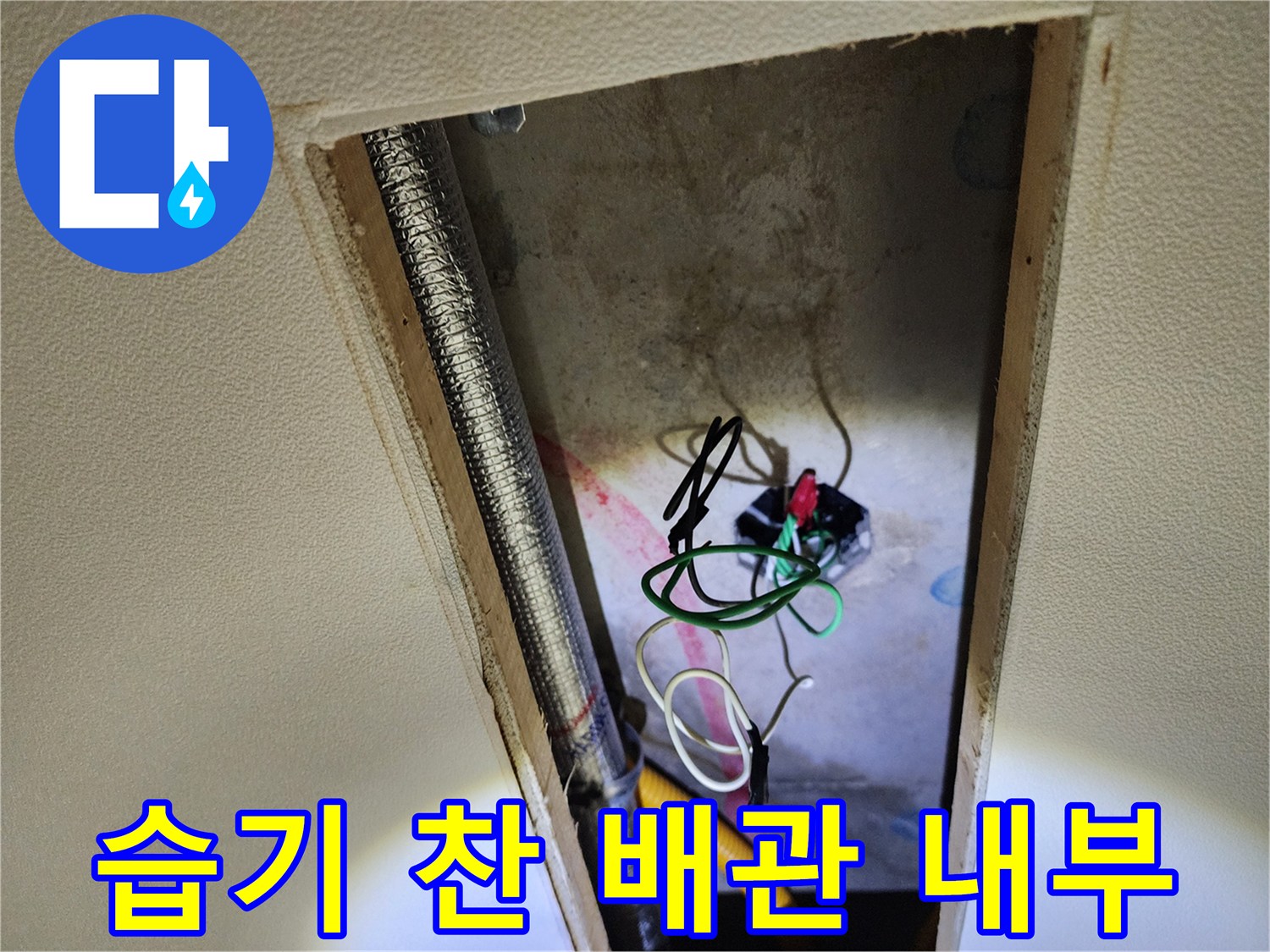 점검구-내부의-축축한-배관-및-전선-상태