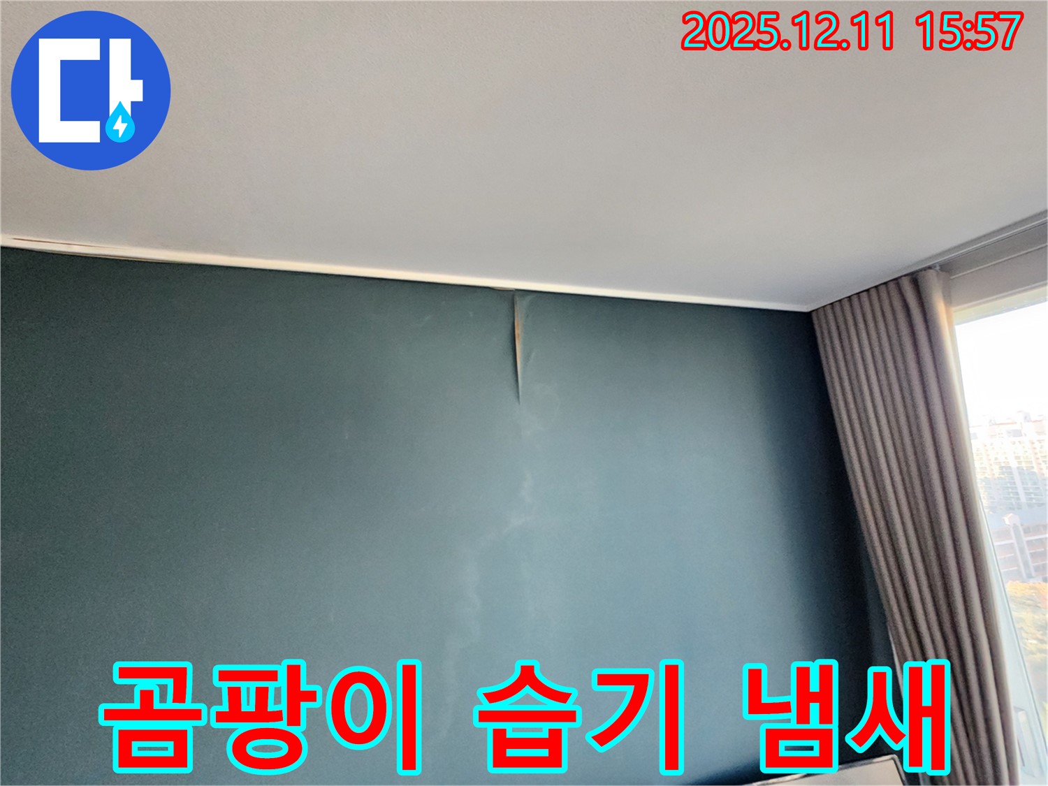 곰팡이 - 습기 - 냄새 - 포천 누수 전문가의 종합 진단