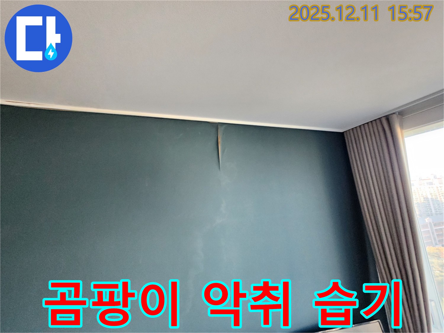 곰팡이 - 악취 - 습기 3중고 - 포천 누수 전문가의 완벽 해결