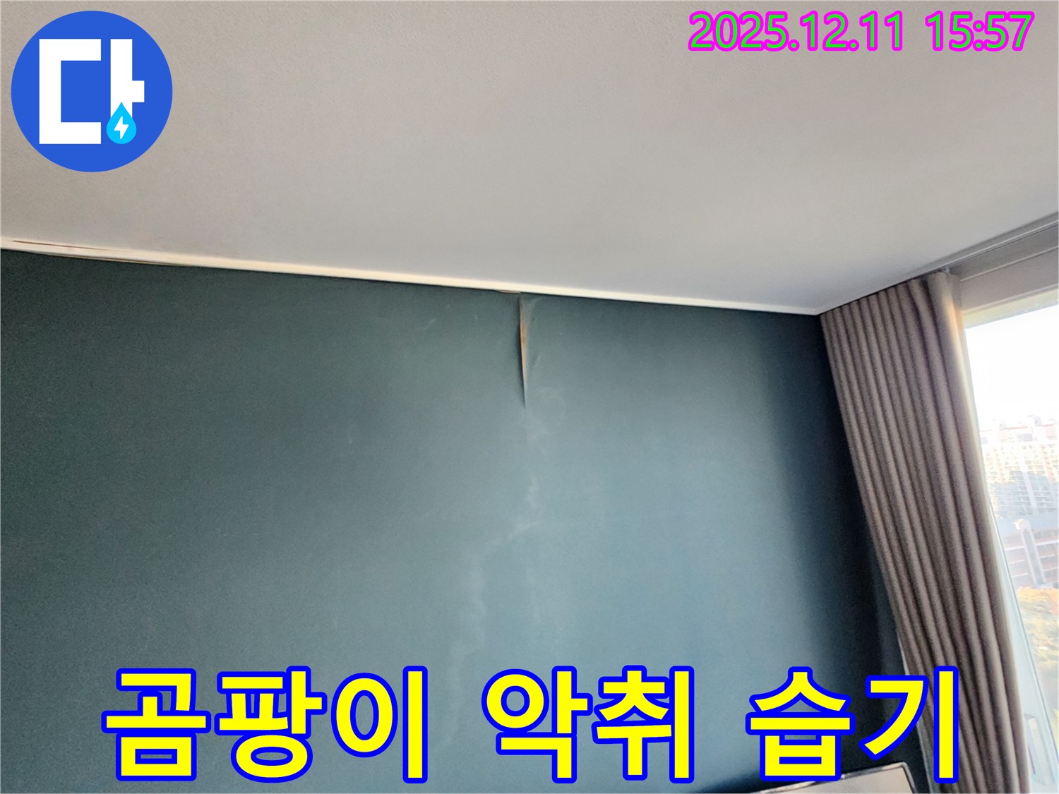 곰팡이 - 악취 - 습기 3중고 - 포천 누수 전문가의 완벽 해결