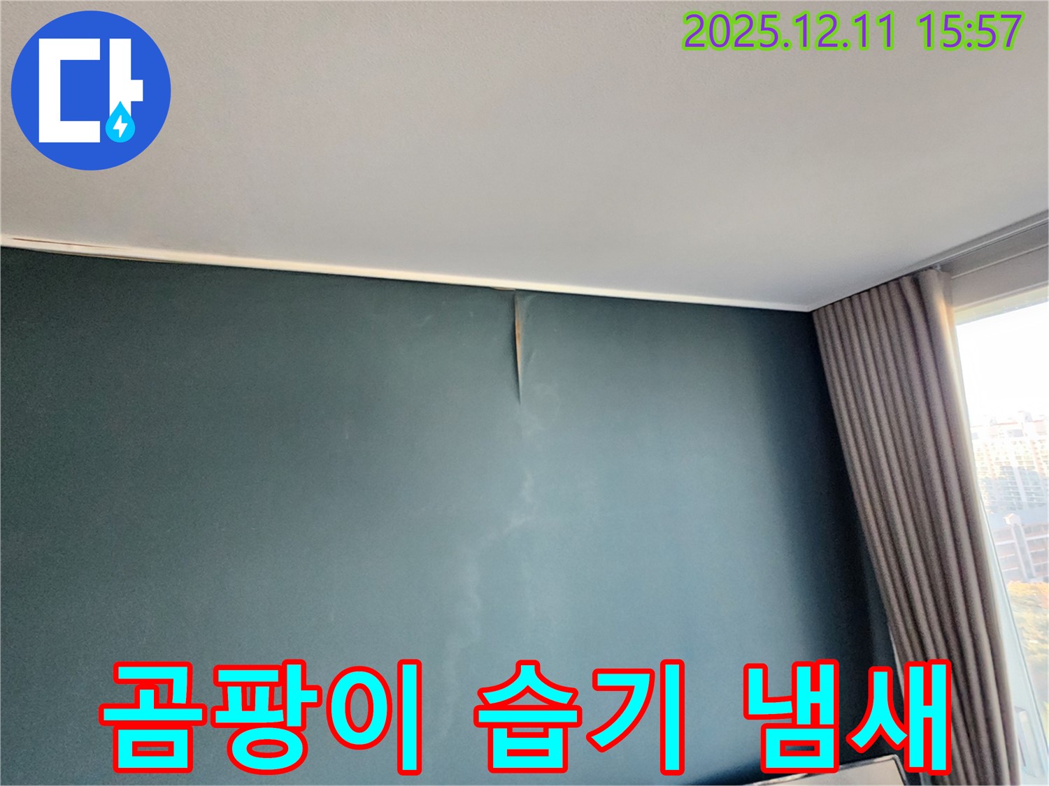 곰팡이 - 악취 - 습기 3중고 - 포천 누수 전문가의 완벽 해결