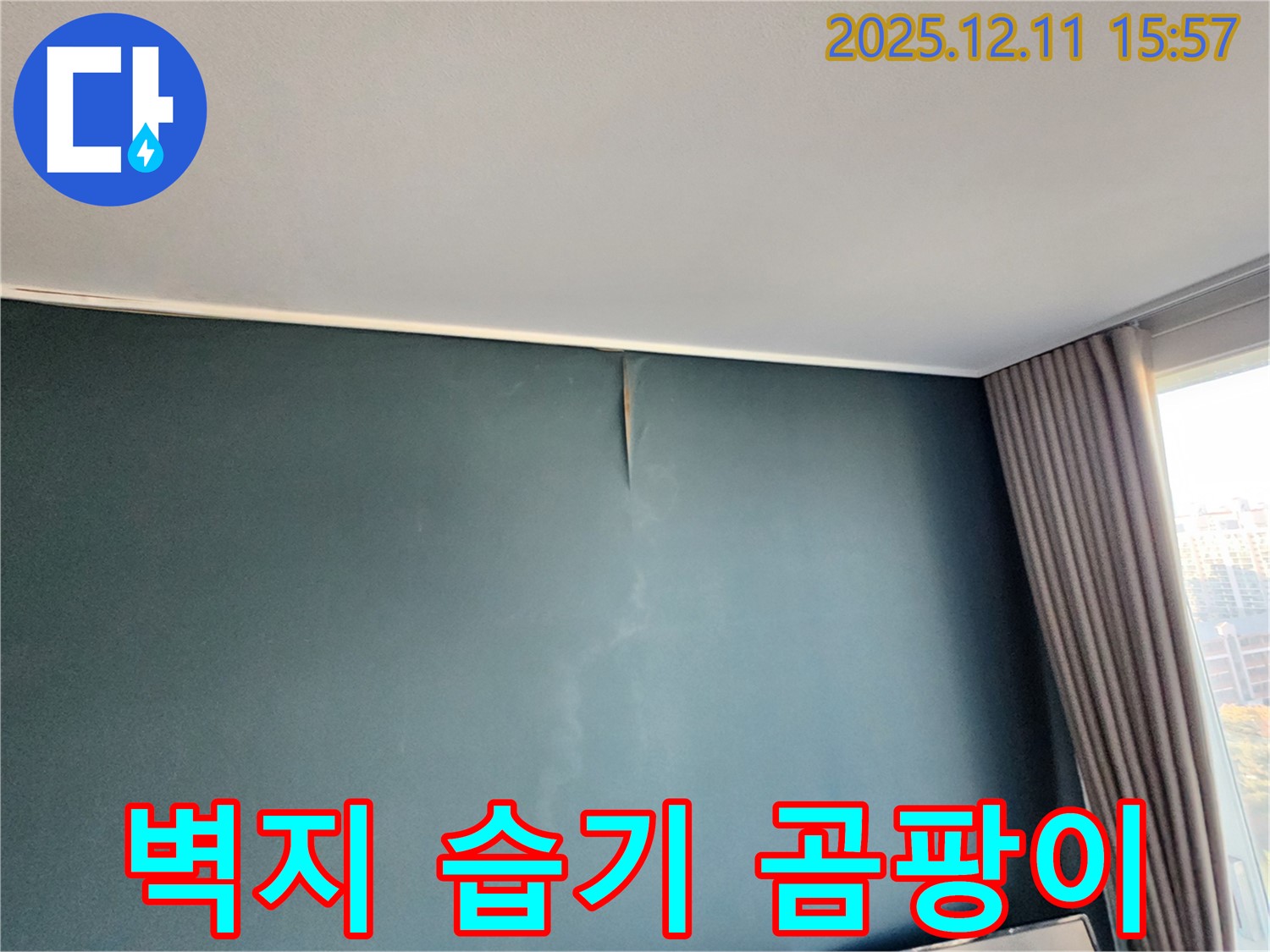 들뜬 벽지 - 습기 - 곰팡이 - 포천 누수 전문가의 종합 점검