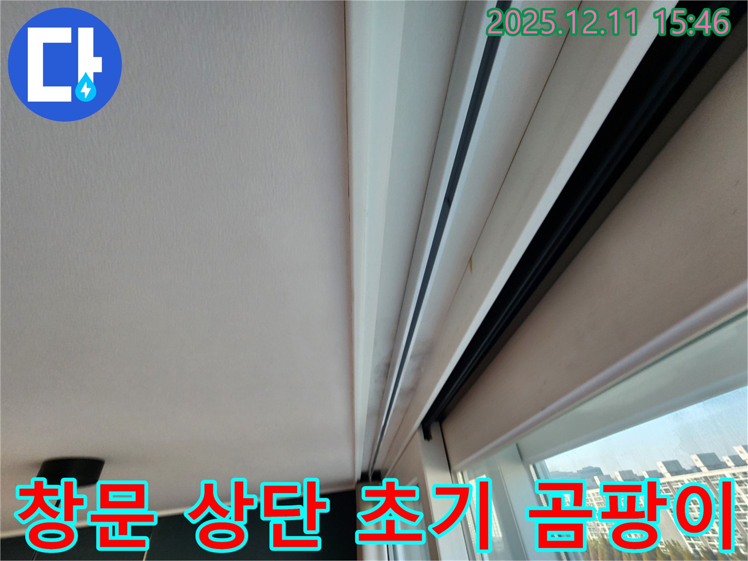 양지말 주택 창문 누수 - 상단 초기 곰팡이 완벽 차단 공사 준비 완료