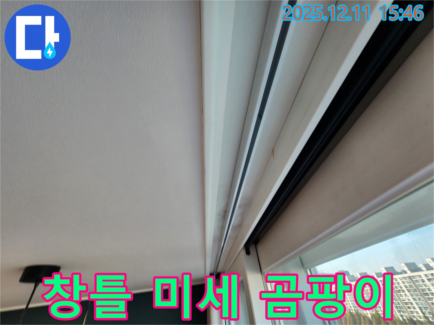 양지말 창틀 상단 미세 곰팡이 - 초기 점검으로 누수 문제 해결