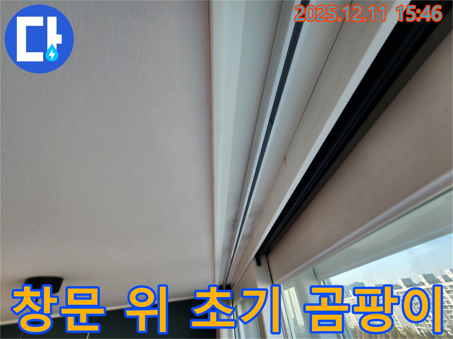영중면 양지말 창문 위 초기 곰팡이 - 신속한 조치로 누수 확산 방지