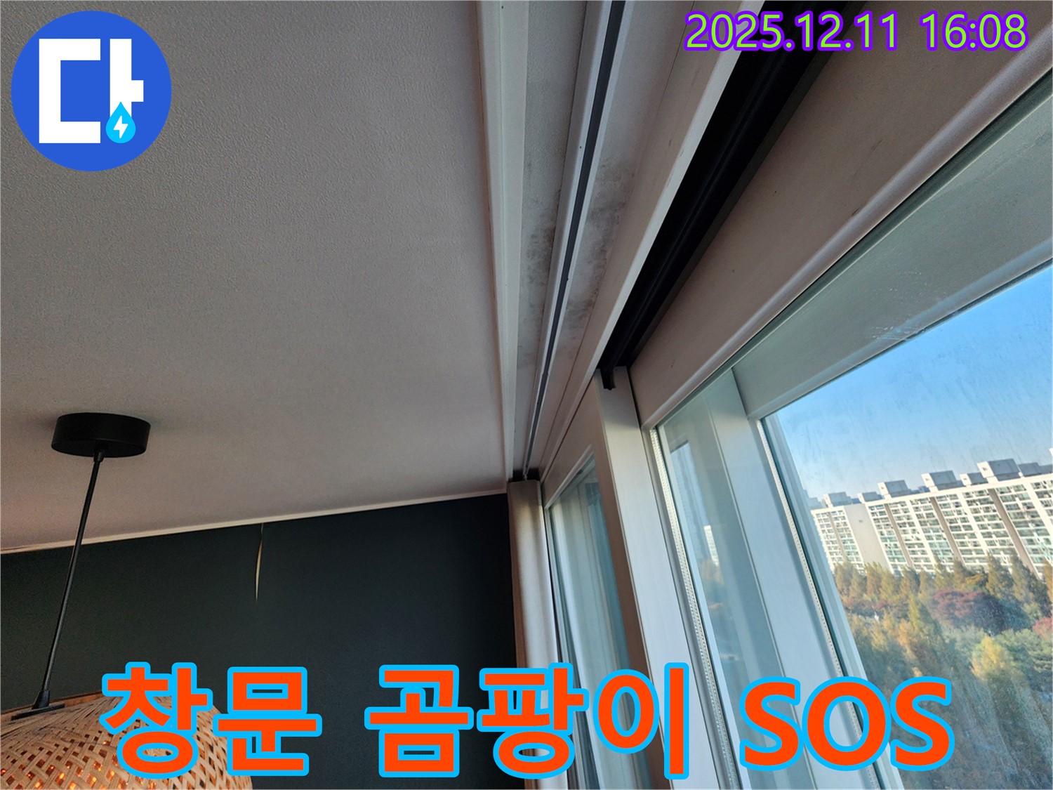 창문 곰팡이 - 누수 SOS - 영중면 누수