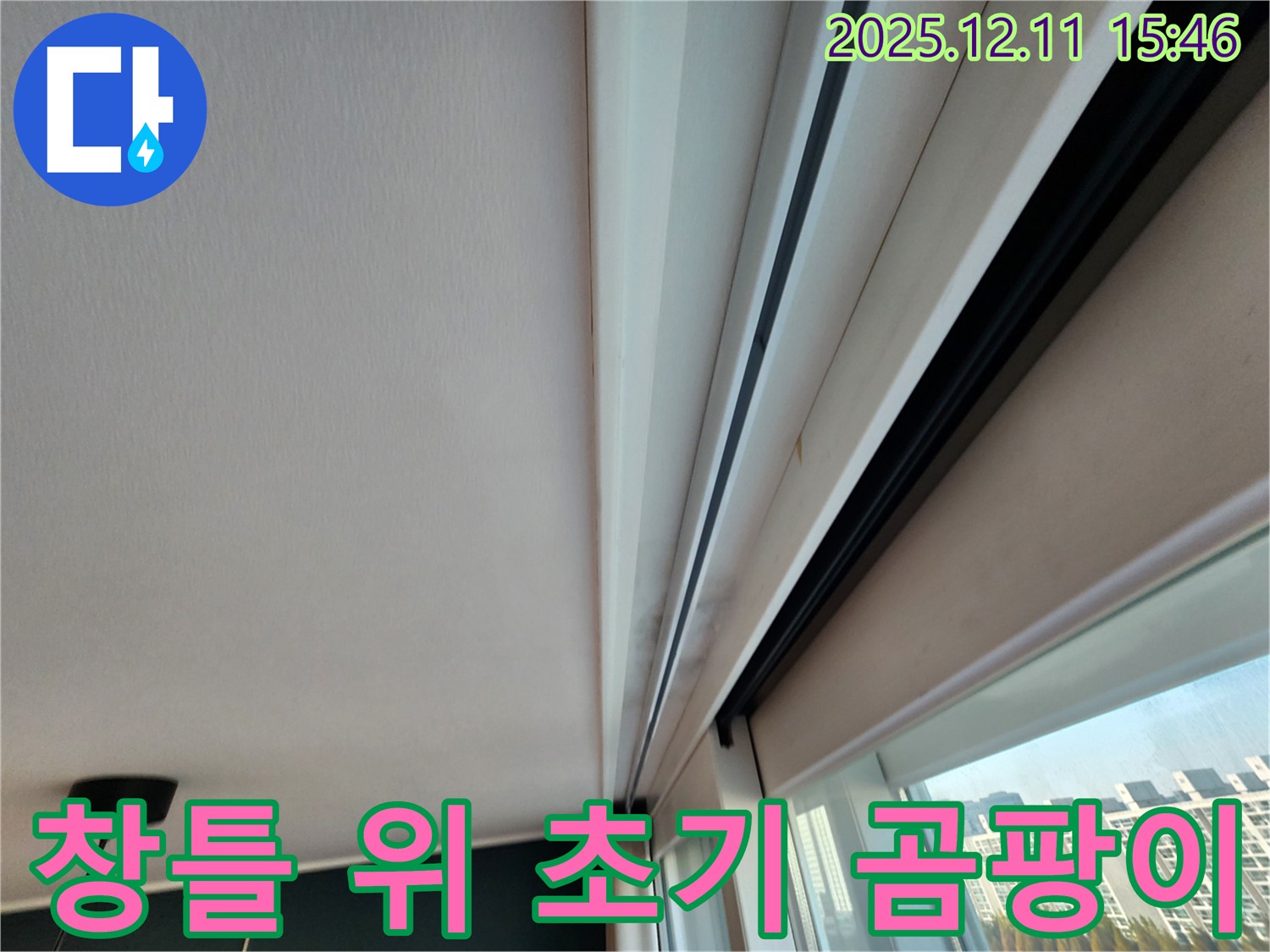 포천시 영중면 양지말 창틀 위 곰팡이 - 초기 발견 후 꼼꼼 점검