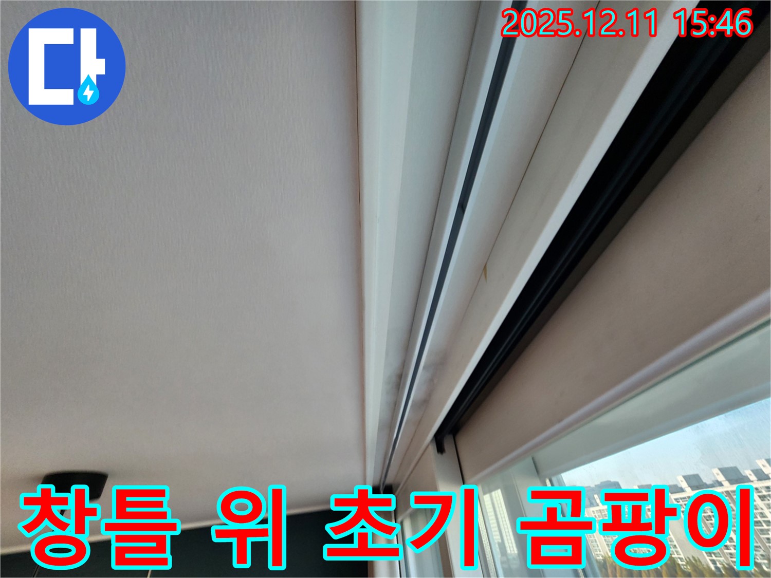 포천시 영중면 창틀 위 아주 작은 곰팡이 - 초기 대응으로 누수를 막자