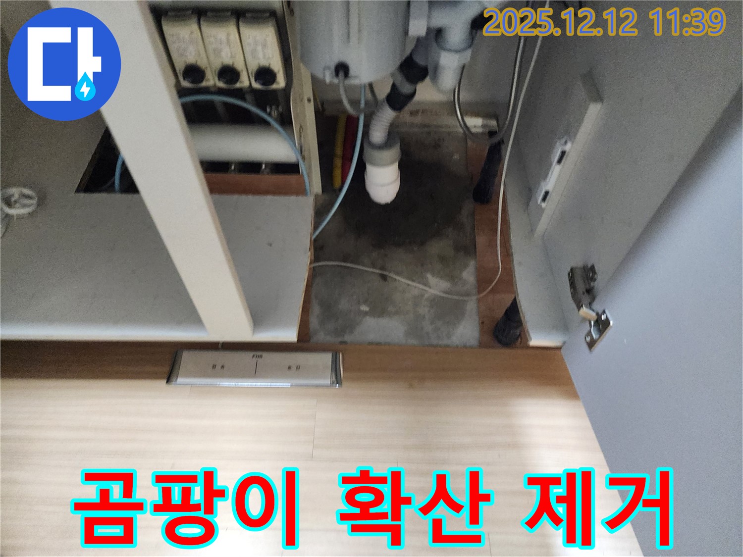 포천 영중 싱크대 누수 - 곰팡이 확산, 누수 해결과 곰팡이 제거 필수!