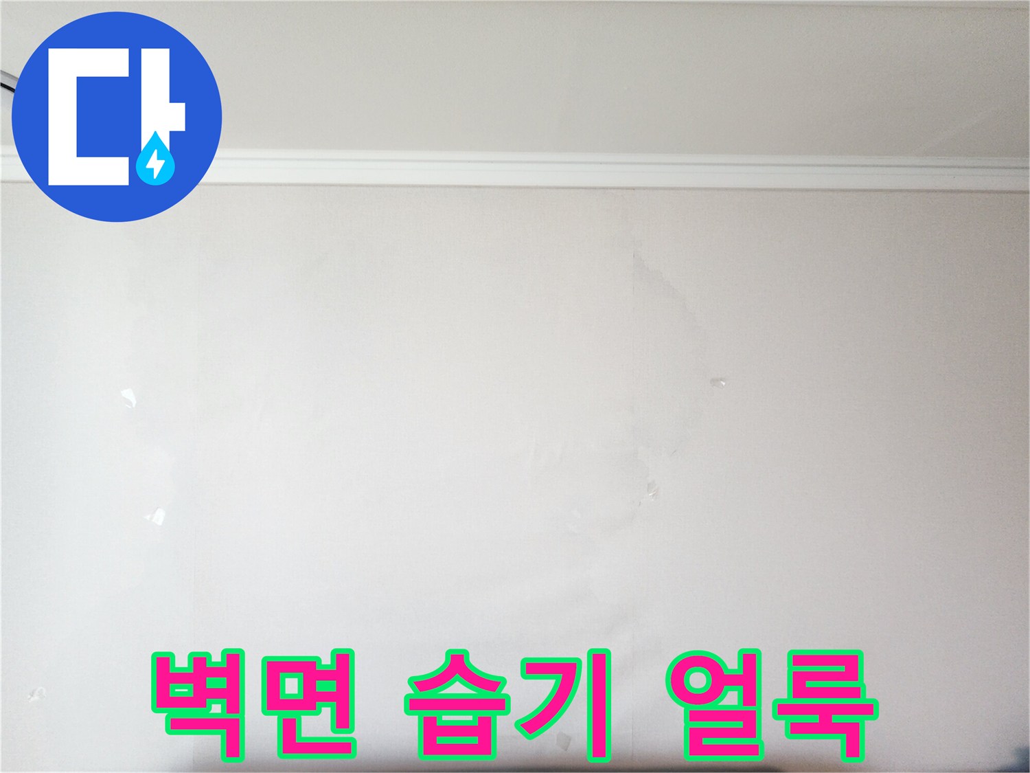 영중면 현장 기록-벽지 변색 및 물자국