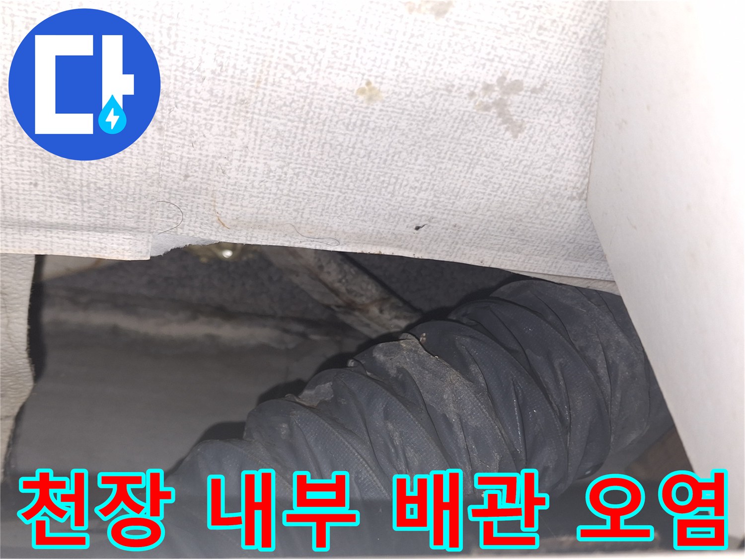 에어컨-배관-주변의-습윤한-상태
