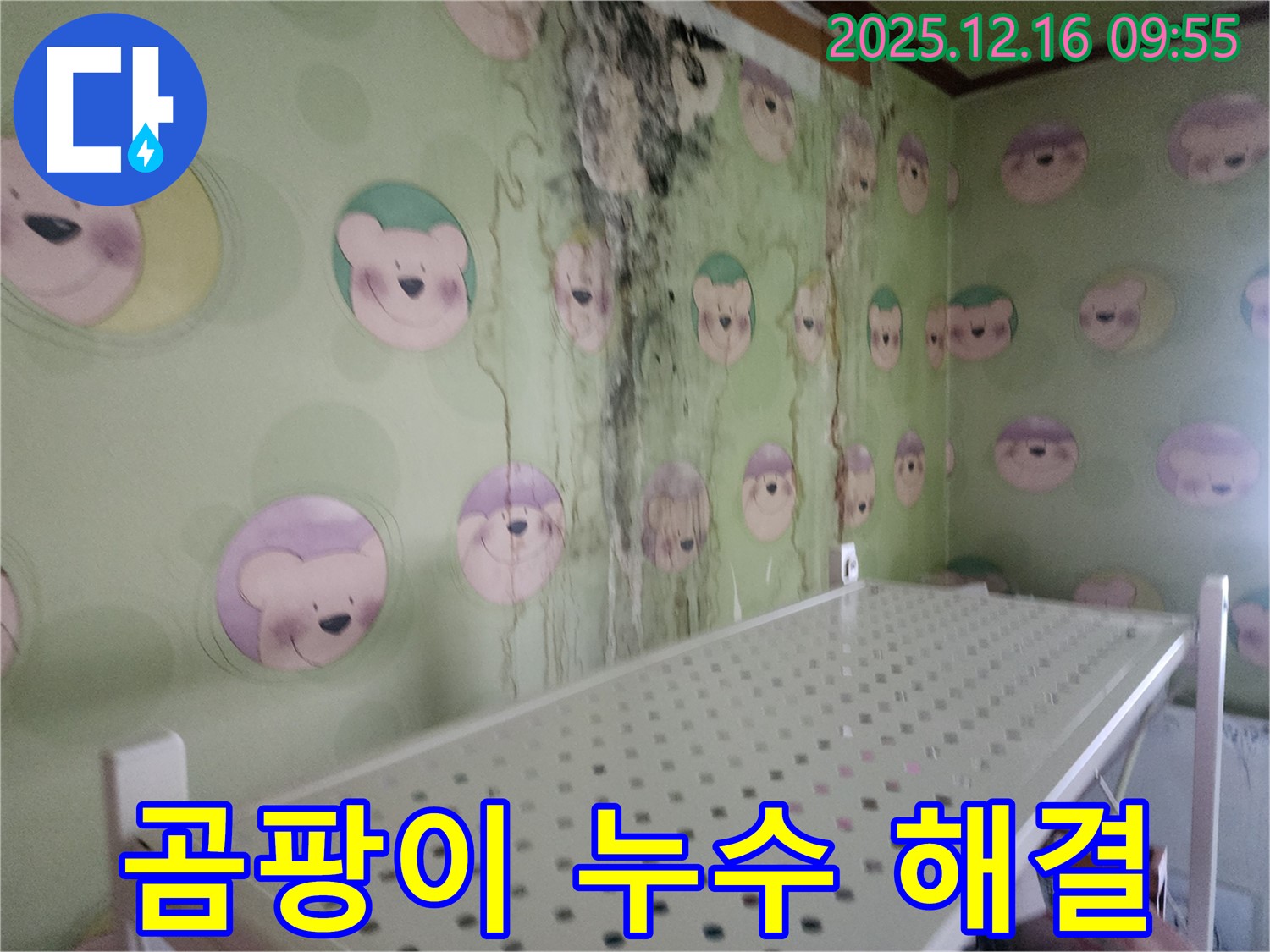 곰팡이로 오염된 벽 - 누수 원인 제거와 곰팡이 제거로 쾌적한 공간으로 만들었습니다.