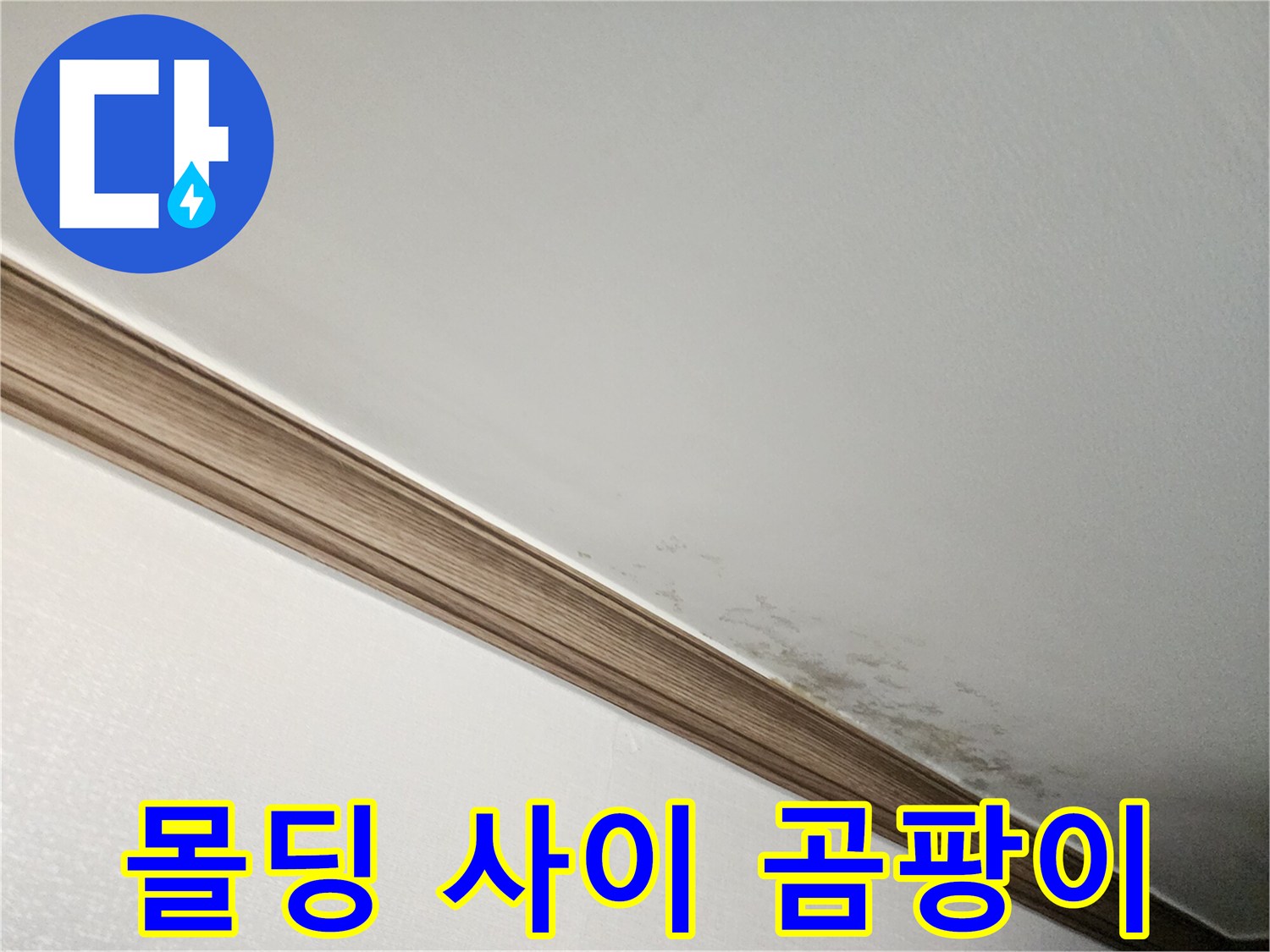 몰딩-틈새로-번져나간-곰팡이와-습기-얼룩
