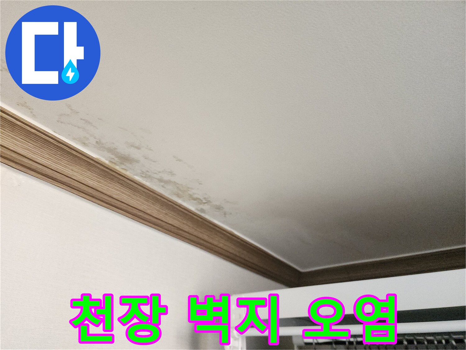 물샘으로 인해 얼룩진 천장과 몰딩 부위
