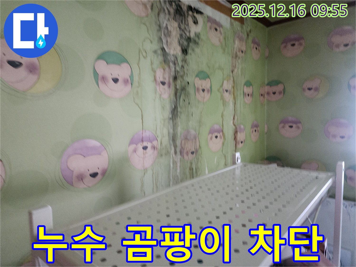 벽 곰팡이 - 누수 문제를 해결하고 곰팡이를 완벽하게 차단하여 쾌적한 공간을 만들었습니다.