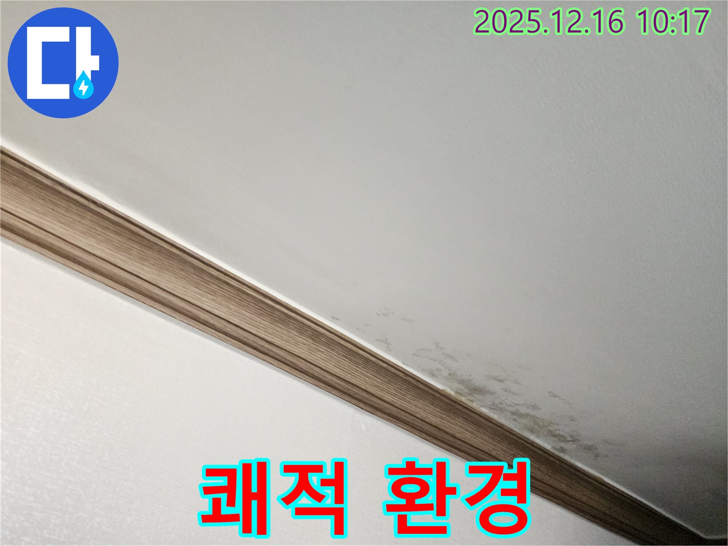 영북면 곰팡이 천장 - 누수 해결 후 쾌적한 환경으로!