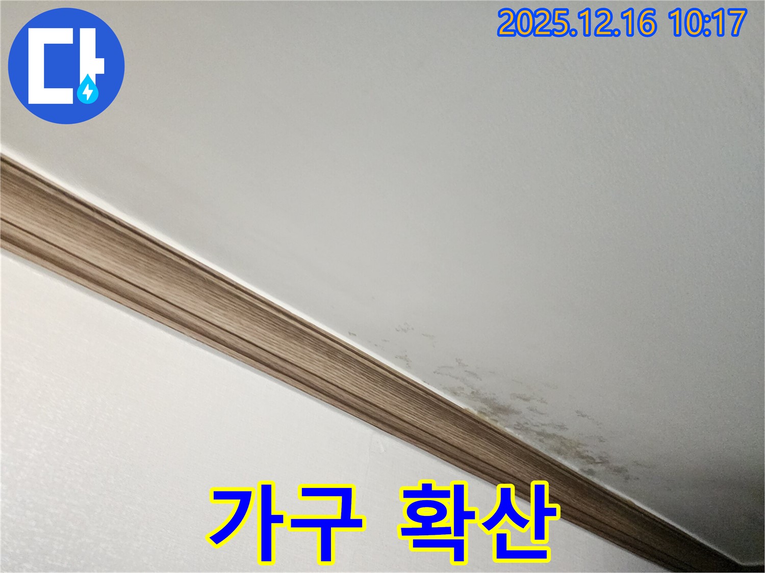 영북면 운천리 곰팡이 천장 - 곰팡이, 가구에도 옮겨간다?!