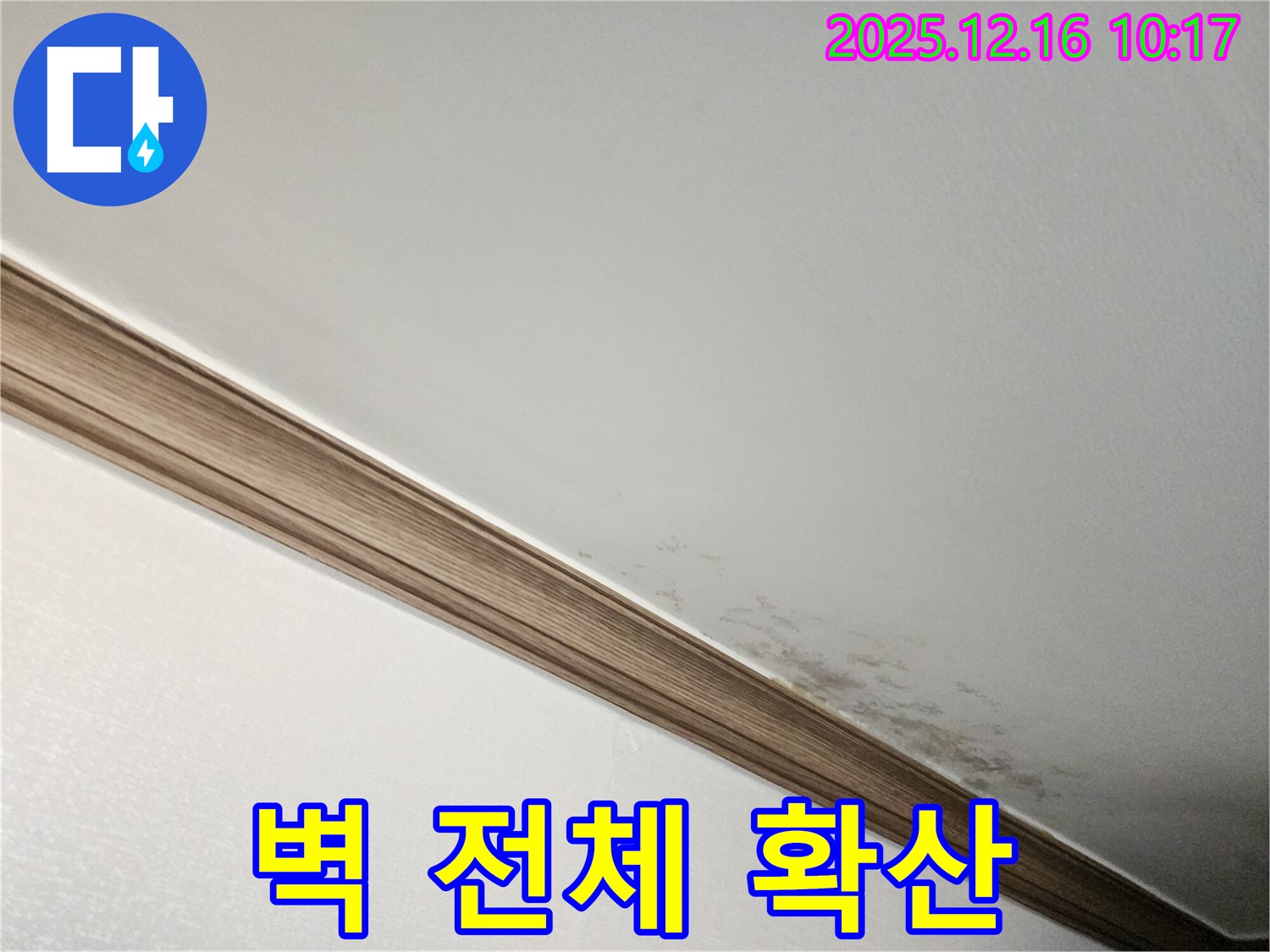 영북면 운천리 곰팡이 천장 - 곰팡이, 벽 전체로 퍼진다?!