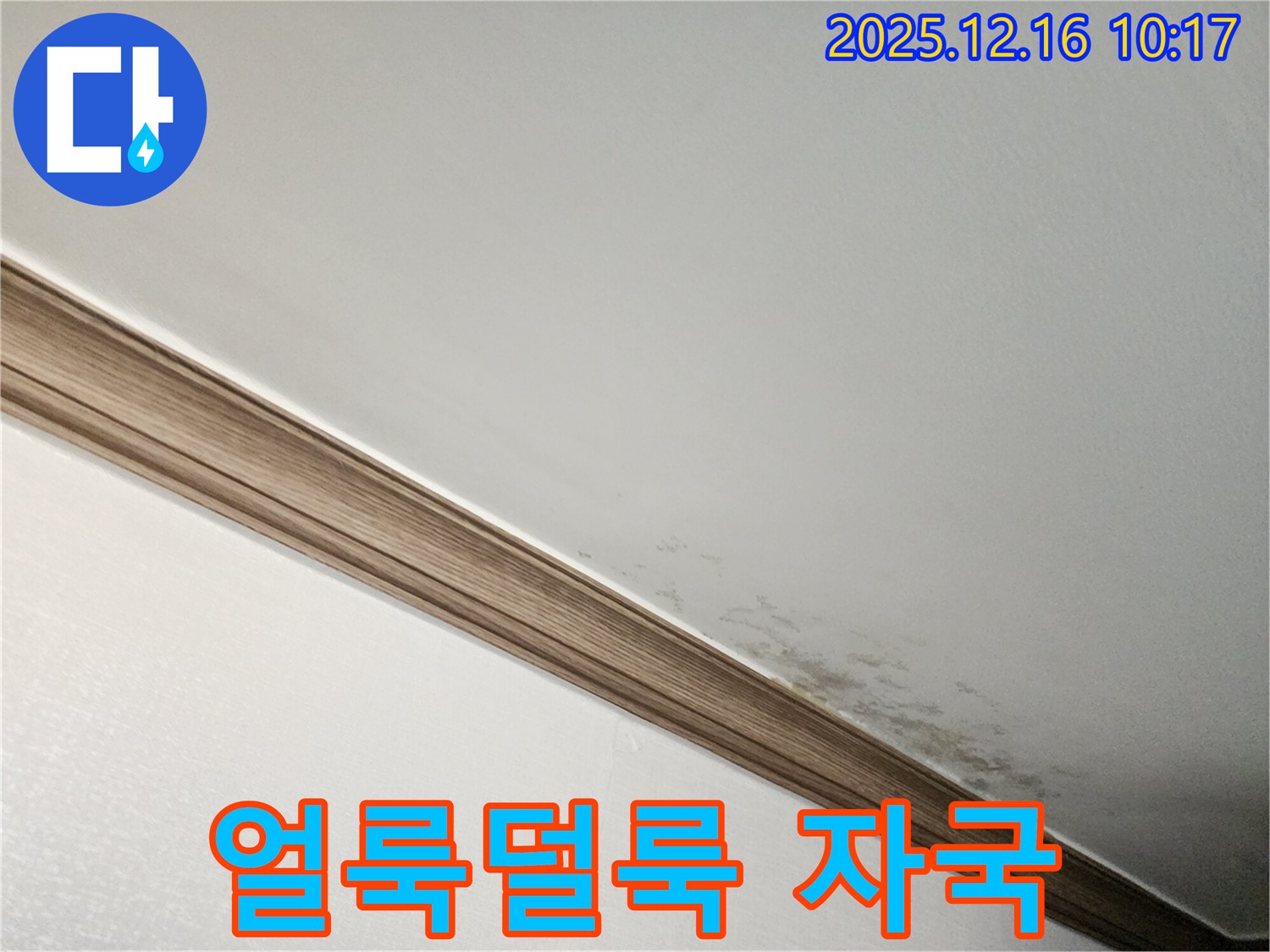 영북면 운천리 곰팡이 천장 - 곰팡이, 벽에 얼룩덜룩 자국?!
