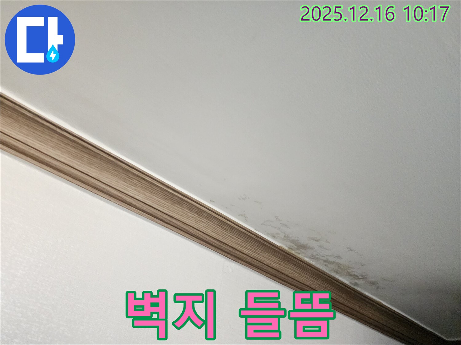 영북면 운천리 곰팡이 천장 - 곰팡이, 벽지 들뜸 유발?!