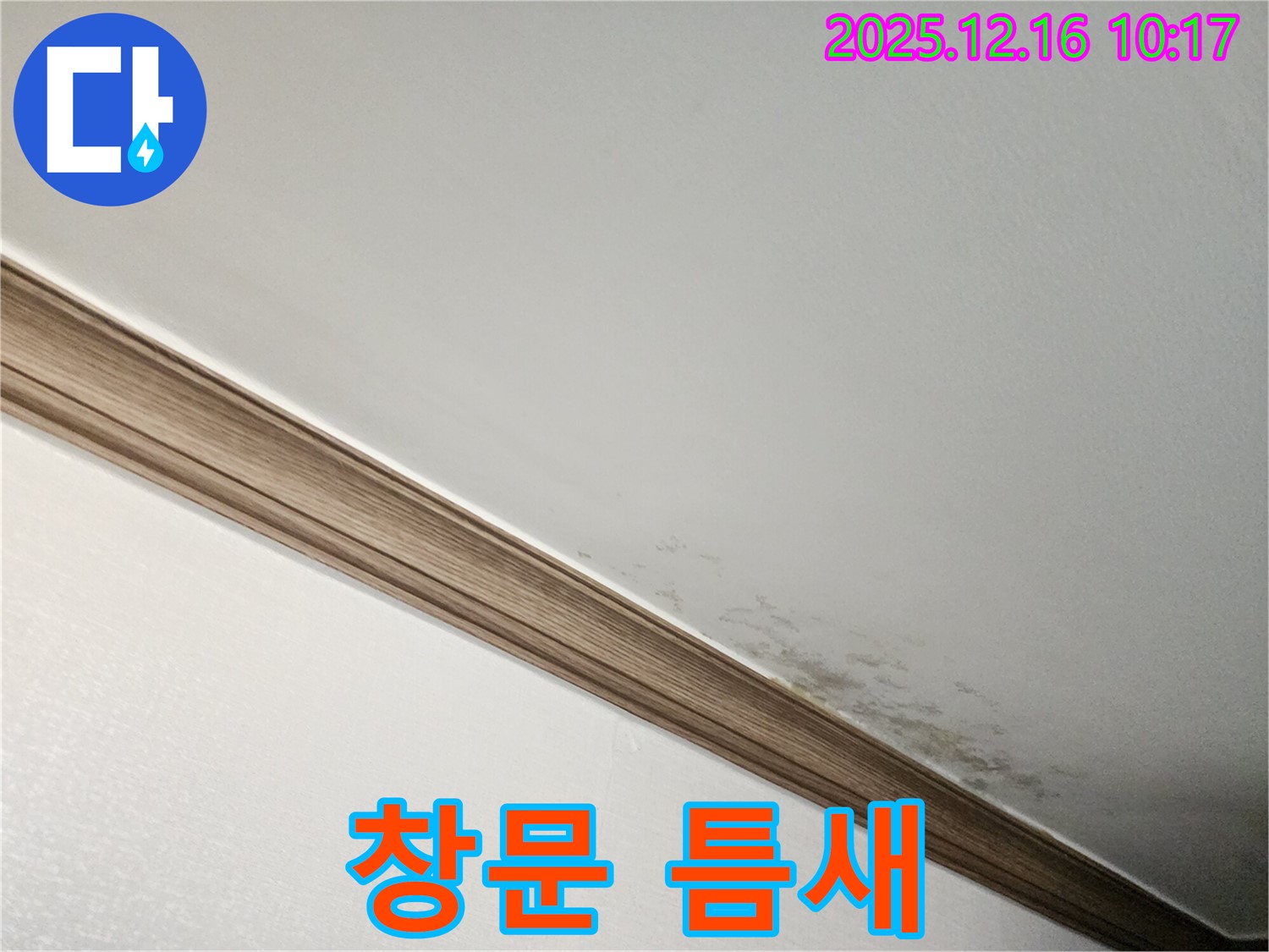 영북면 운천리 곰팡이 천장 - 곰팡이, 창문 틈새에도 득실득실?!