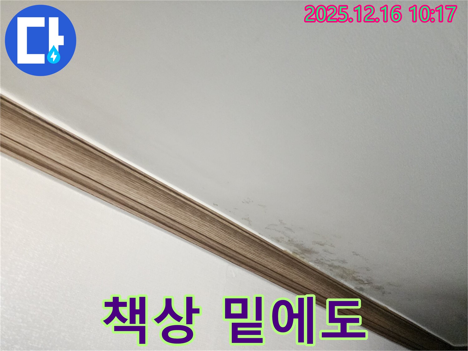 영북면 운천리 곰팡이 천장 - 곰팡이, 책상 밑에도 스멀스멀?!