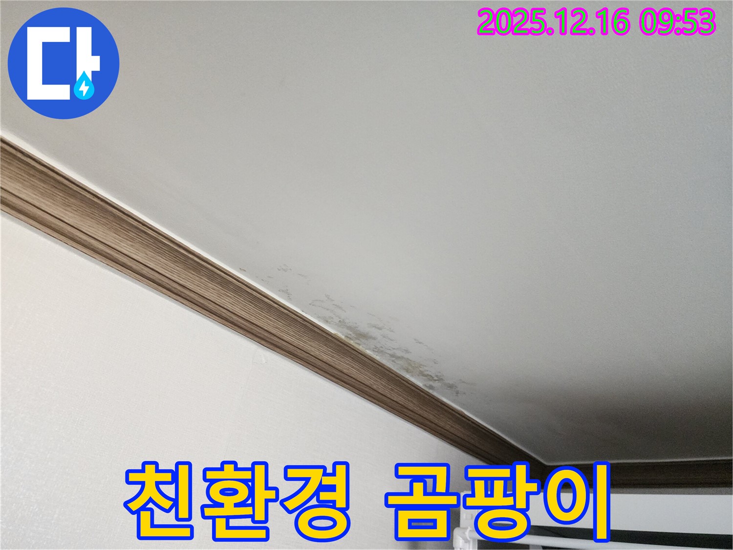 운천리 누수 - 곰팡이 제거, 친환경 시공으로 안전하고 건강하게!