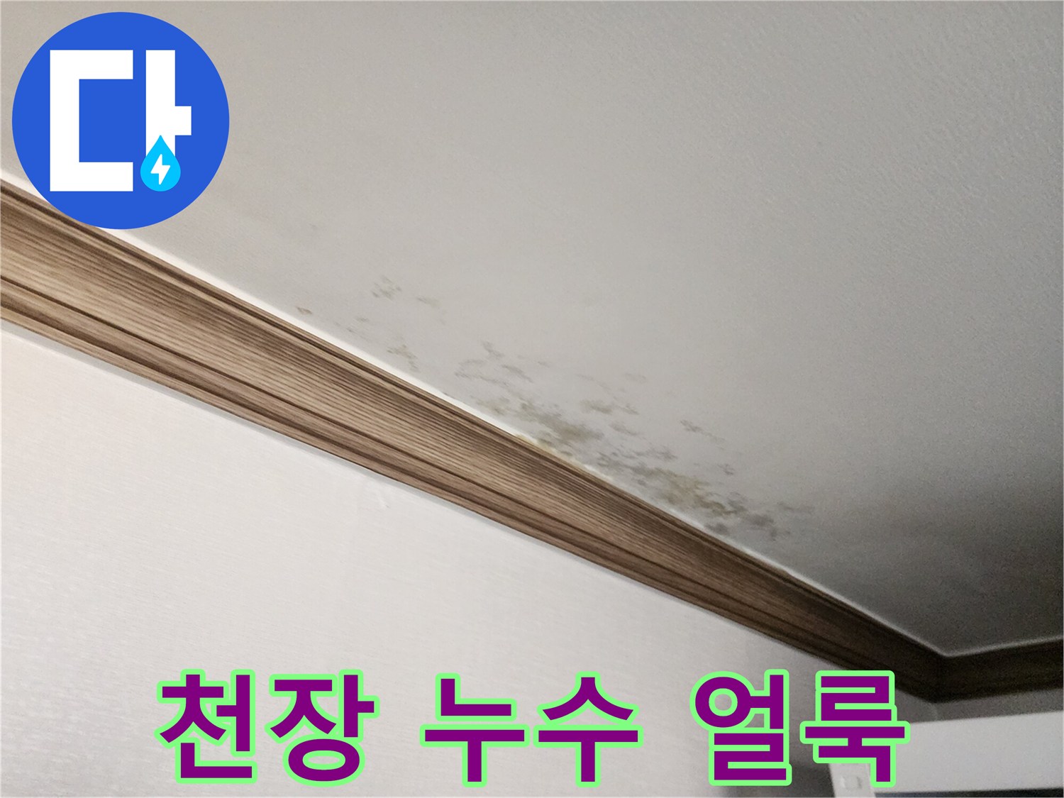 천장-몰딩-주변의-곰팡이와-물자국-상태