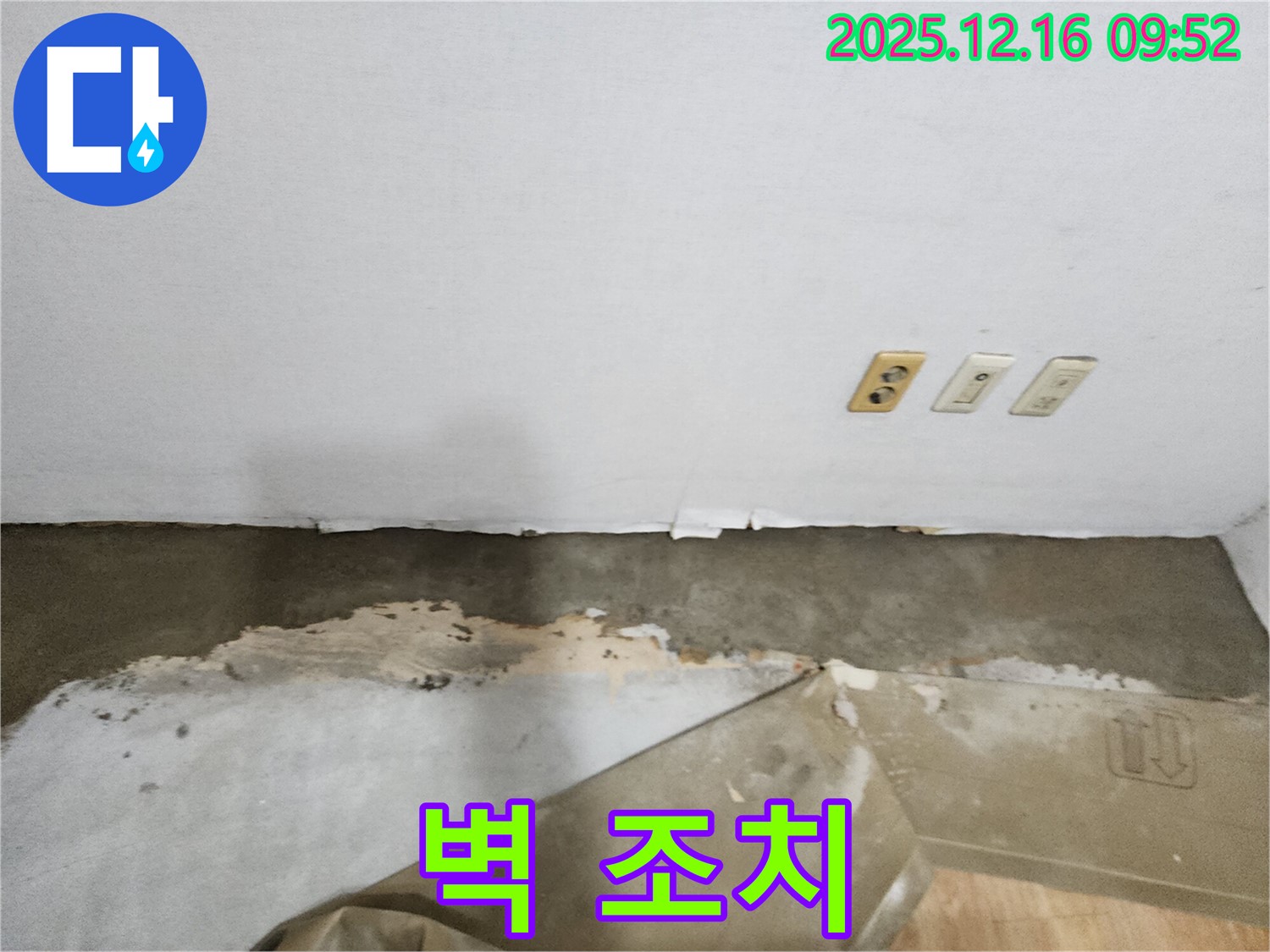 포천 누수 - 젖은 벽과 벽지 곰팡이, 곰팡이 발생 전 조치가 필수적입니다.