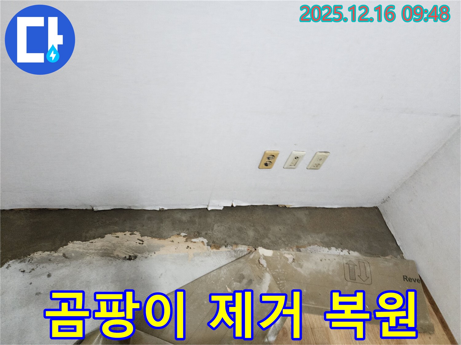 포천 영북면 누수 - 벽 하단 곰팡이, 누수 원인 완벽 차단 쾌적한 공간으로 완벽 복원