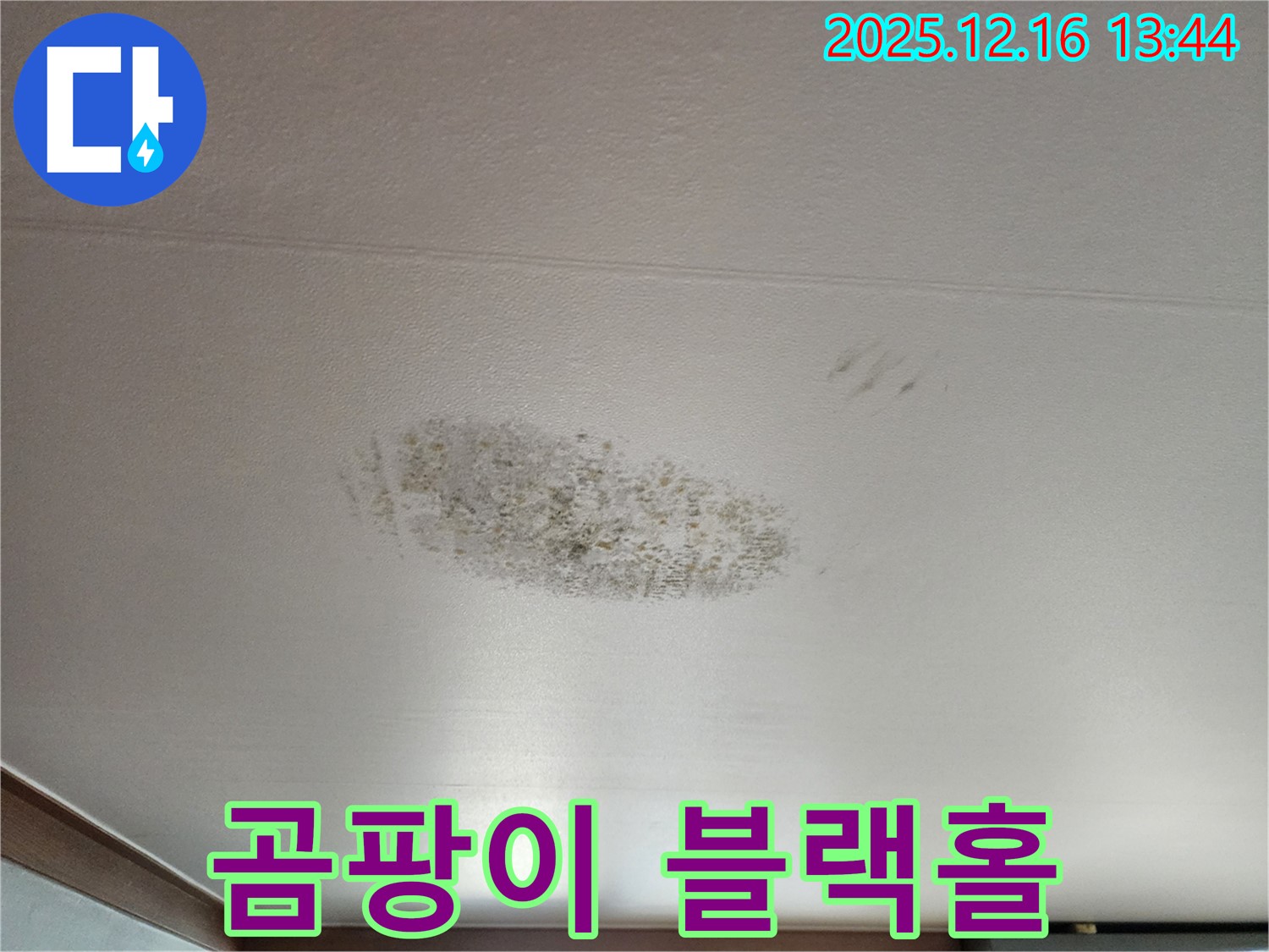 소홀리 누수 - 곰팡이 블랙홀 - 쾌적함 되찾기