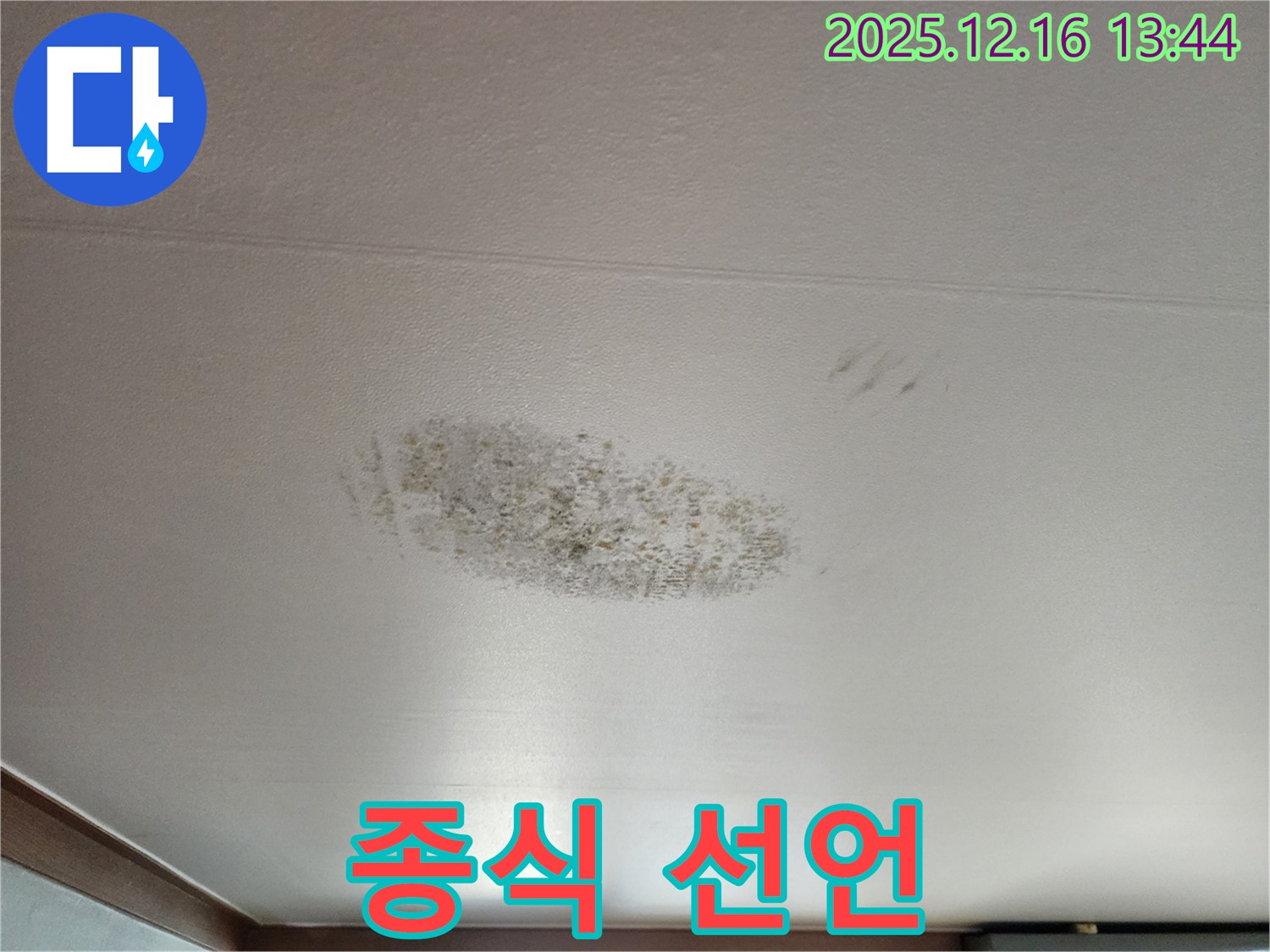 소홀리 누수 - 곰팡이 팬데믹 종식 선언