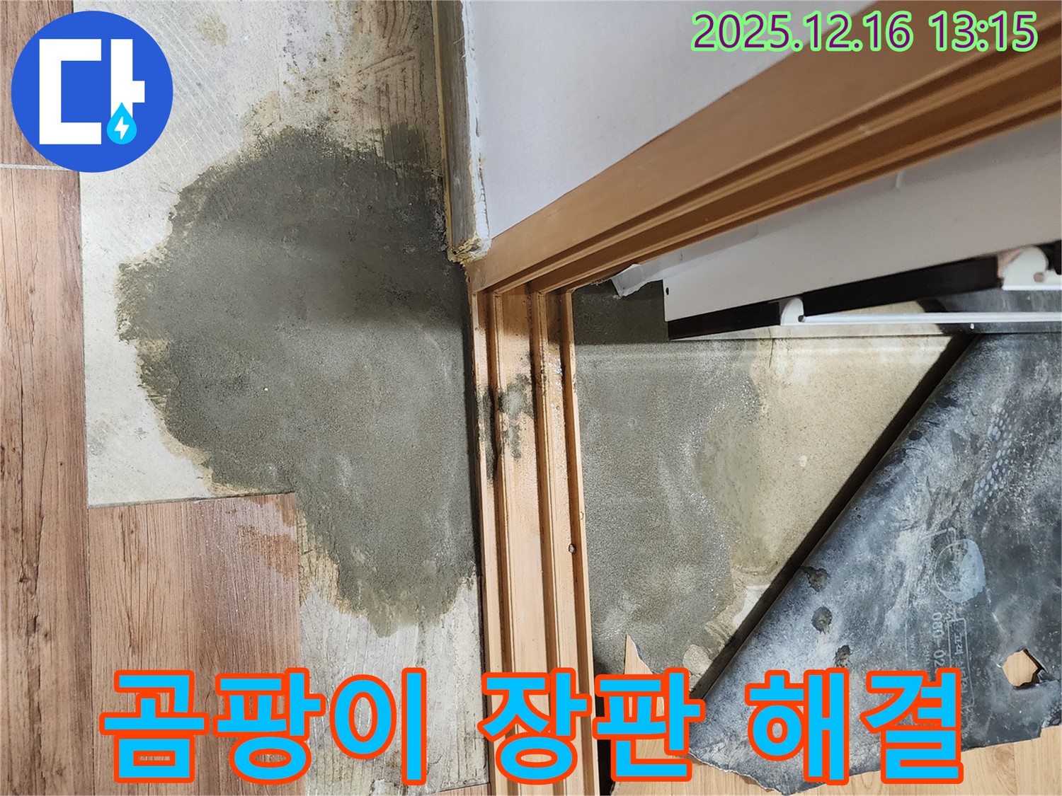소홀리 누수 현장 - 곰팡이 핀 장판 문제를 포천 누수 전문가가 책임지고 해결합니다.