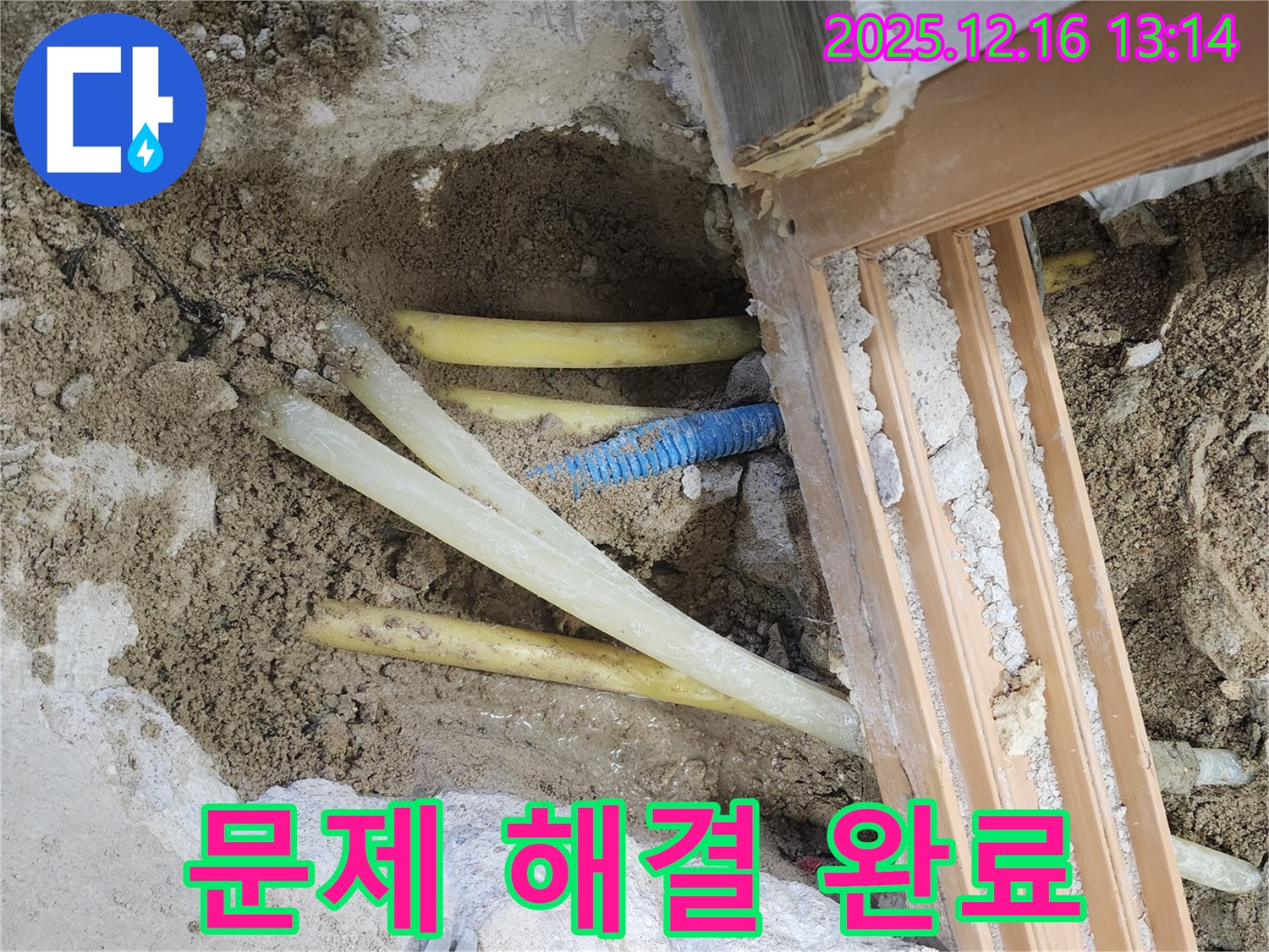 소홀리 문제 해결 - 고객 만족 최우선